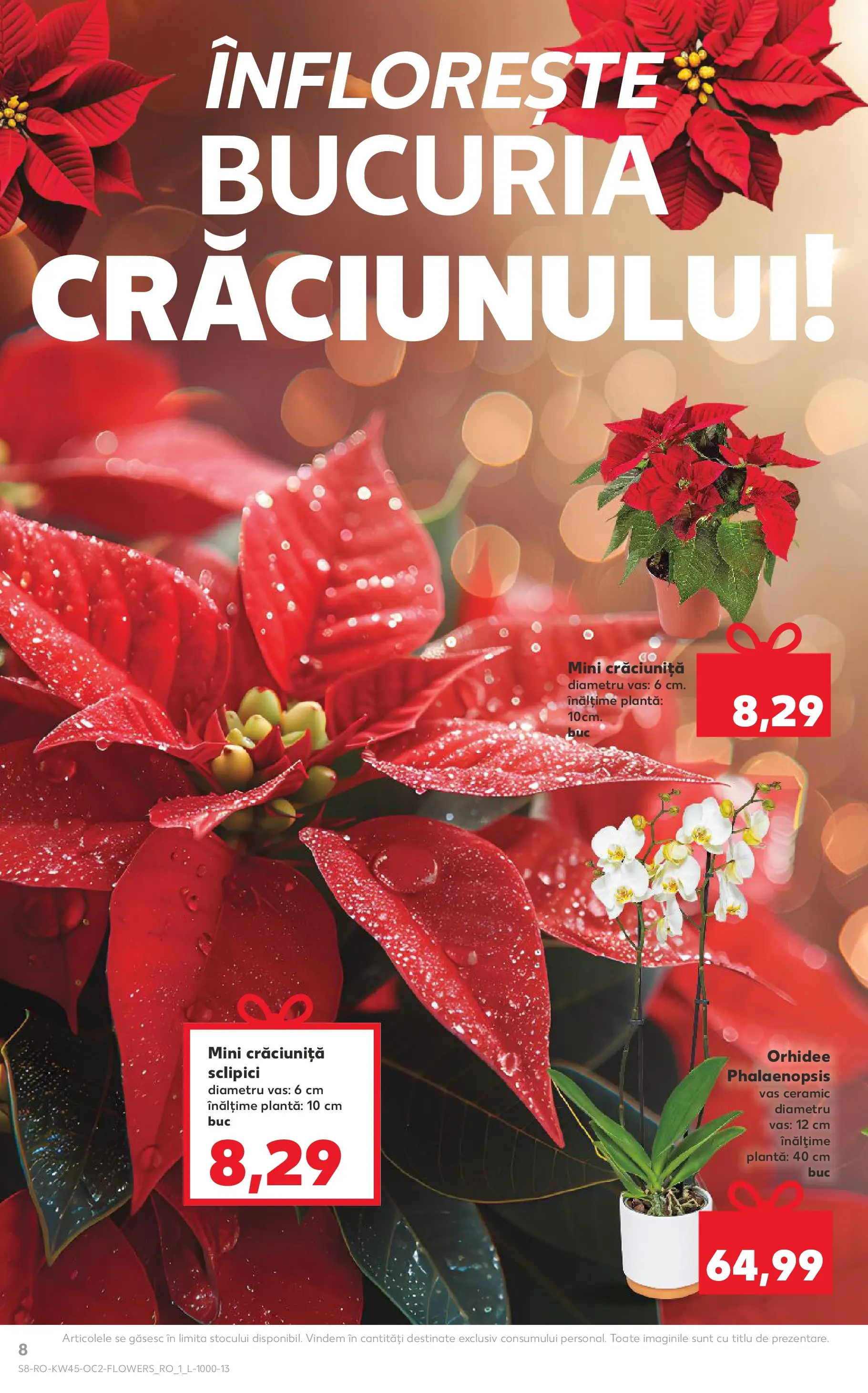 Catalog Kaufland 5 - 10 Noiembrie 2025 | Pagina 8 | Produse: Orhidee
