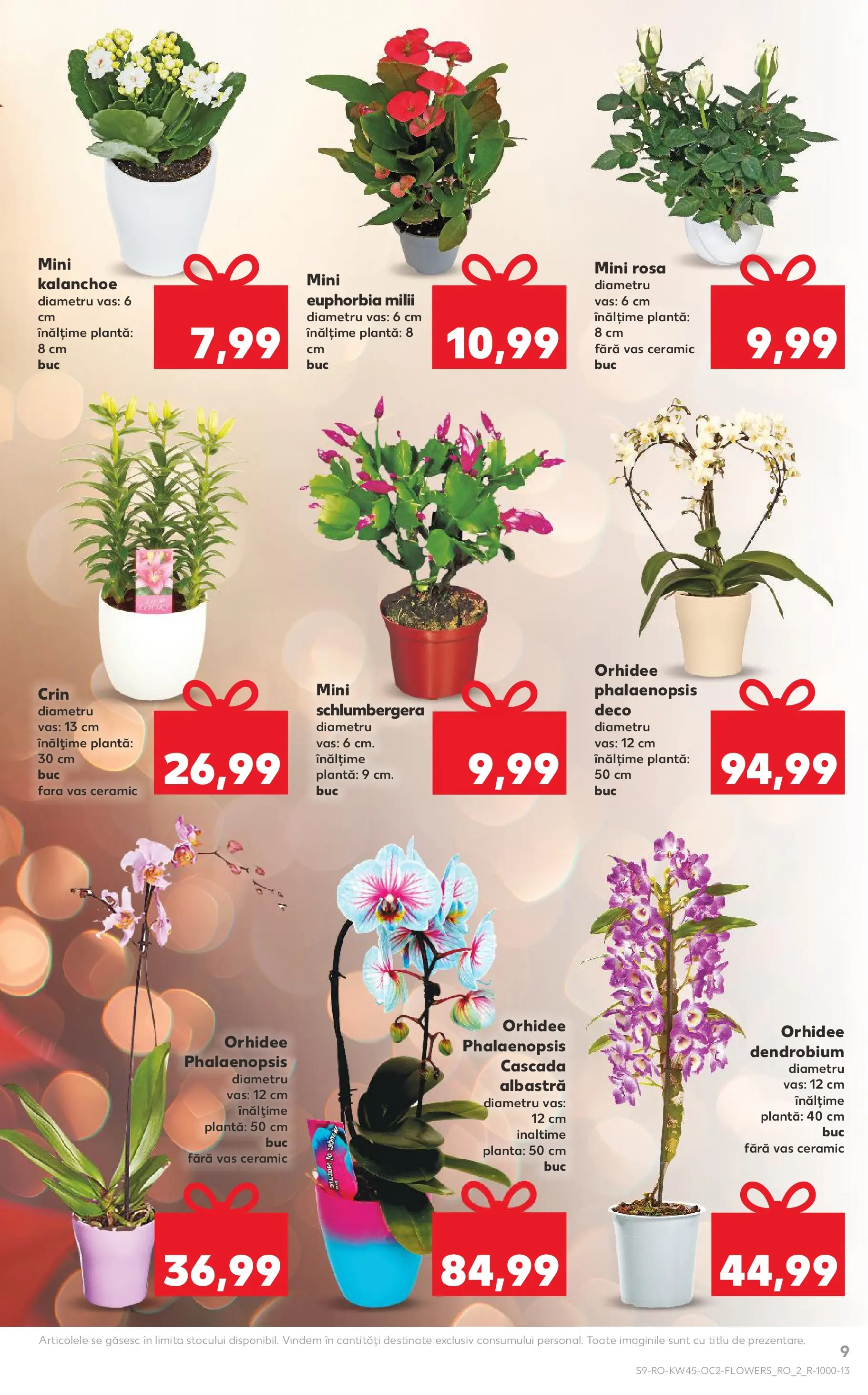 Catalog Kaufland 5 - 10 Noiembrie 2025 | Pagina 9 | Produse: Orhidee