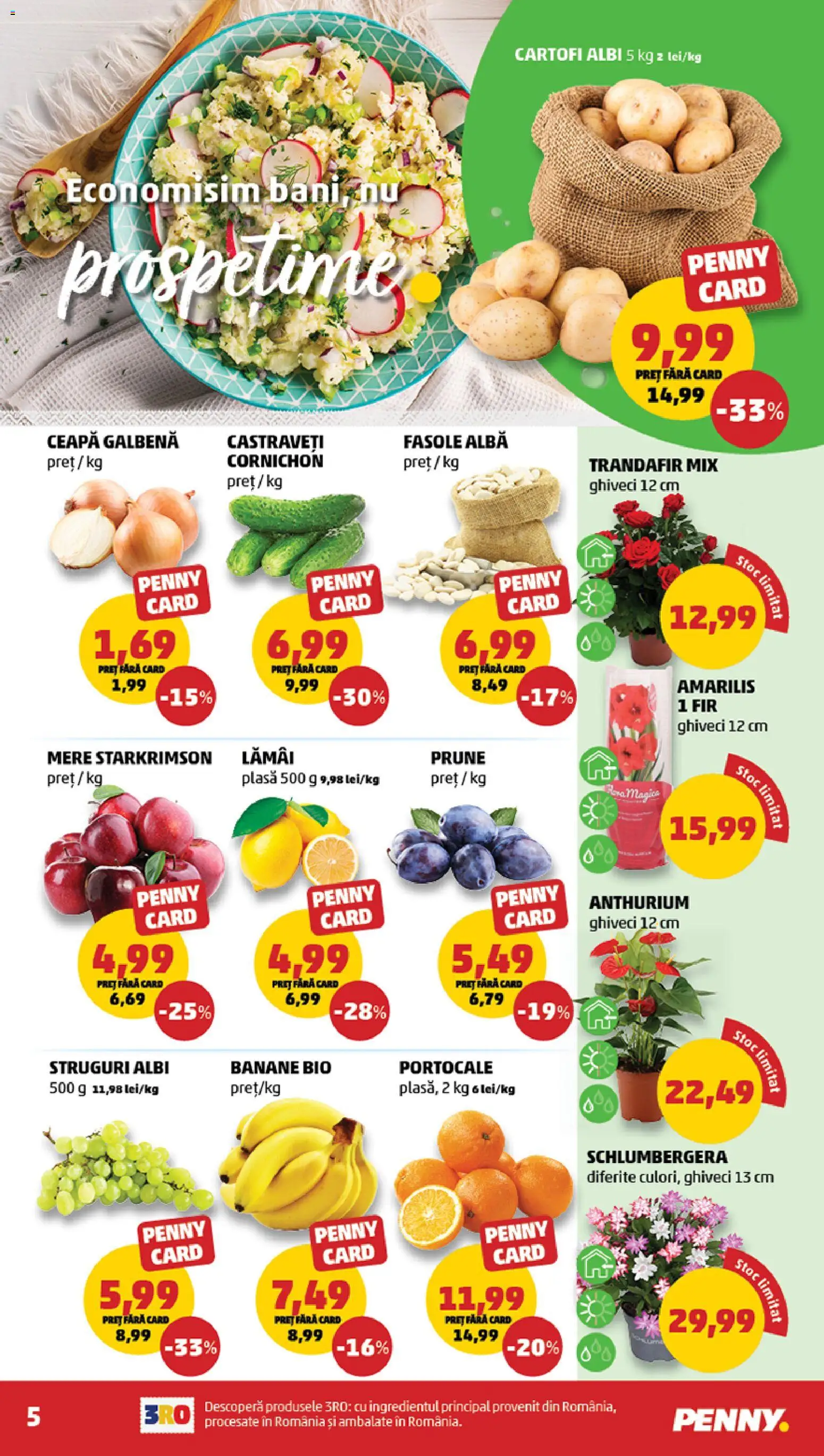Catalog PENNY Market 5 - 10 Noiembrie 2025 | Pagina 5 | Produse: Trandafir, Banane, Prune, Castraveți
