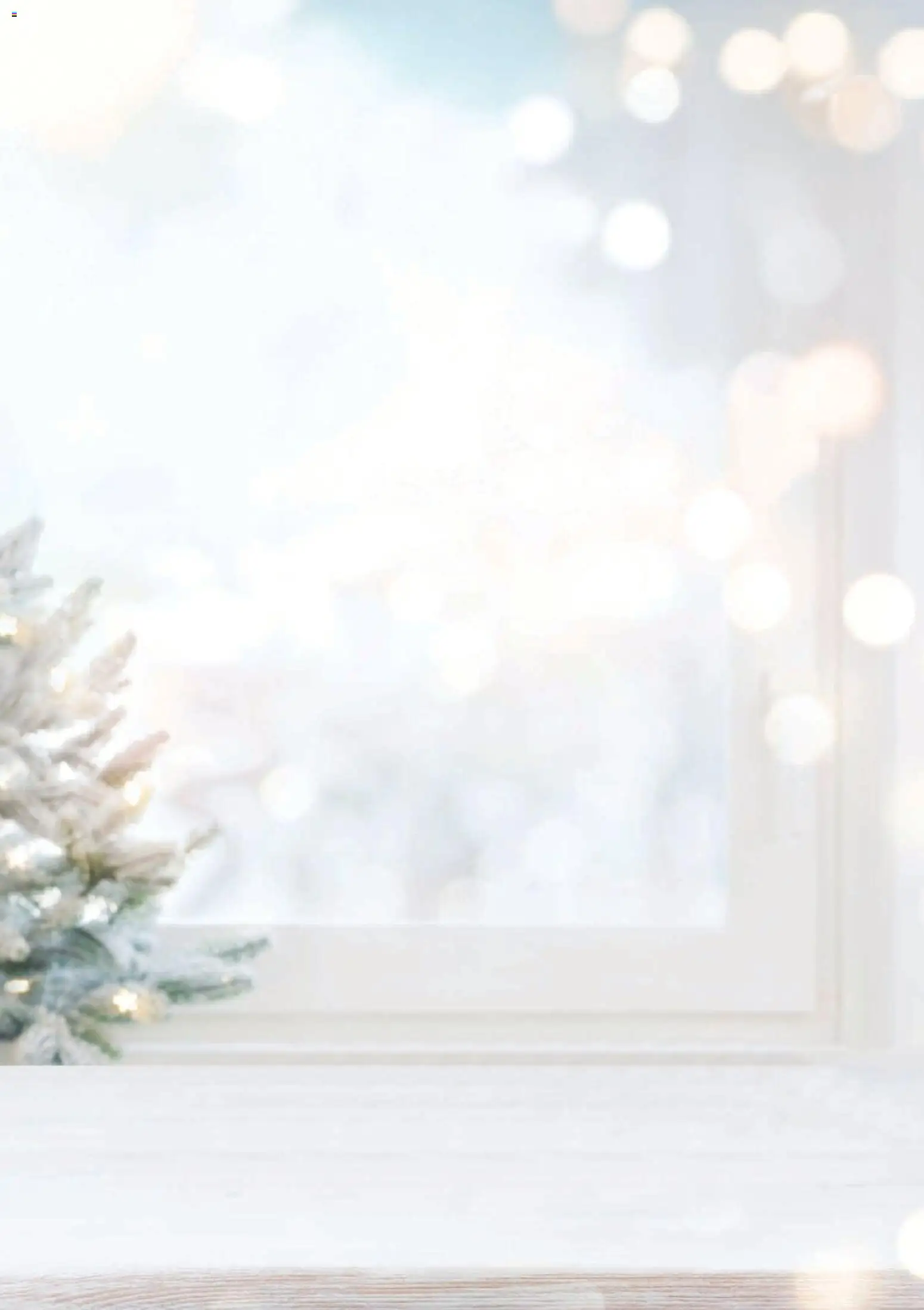 Catalog Selgros 7 Noiembrie - 30 Decembrie 2025 | Pagina 2