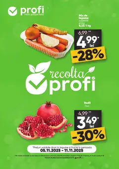 Catalog Profi