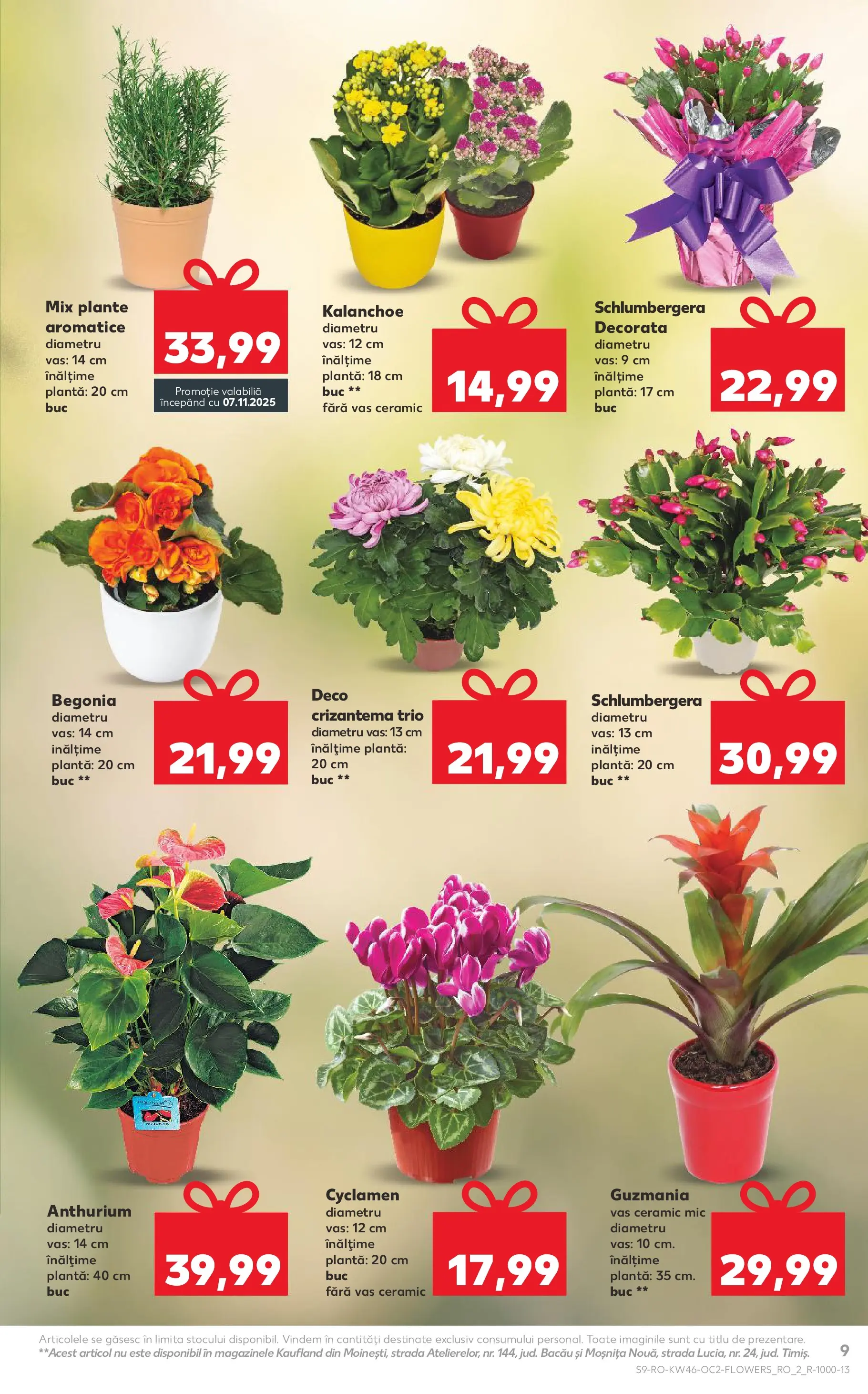 Catalog Kaufland 12 - 17 Noiembrie 2025 | Pagina 9 | Produse: Demirhindi