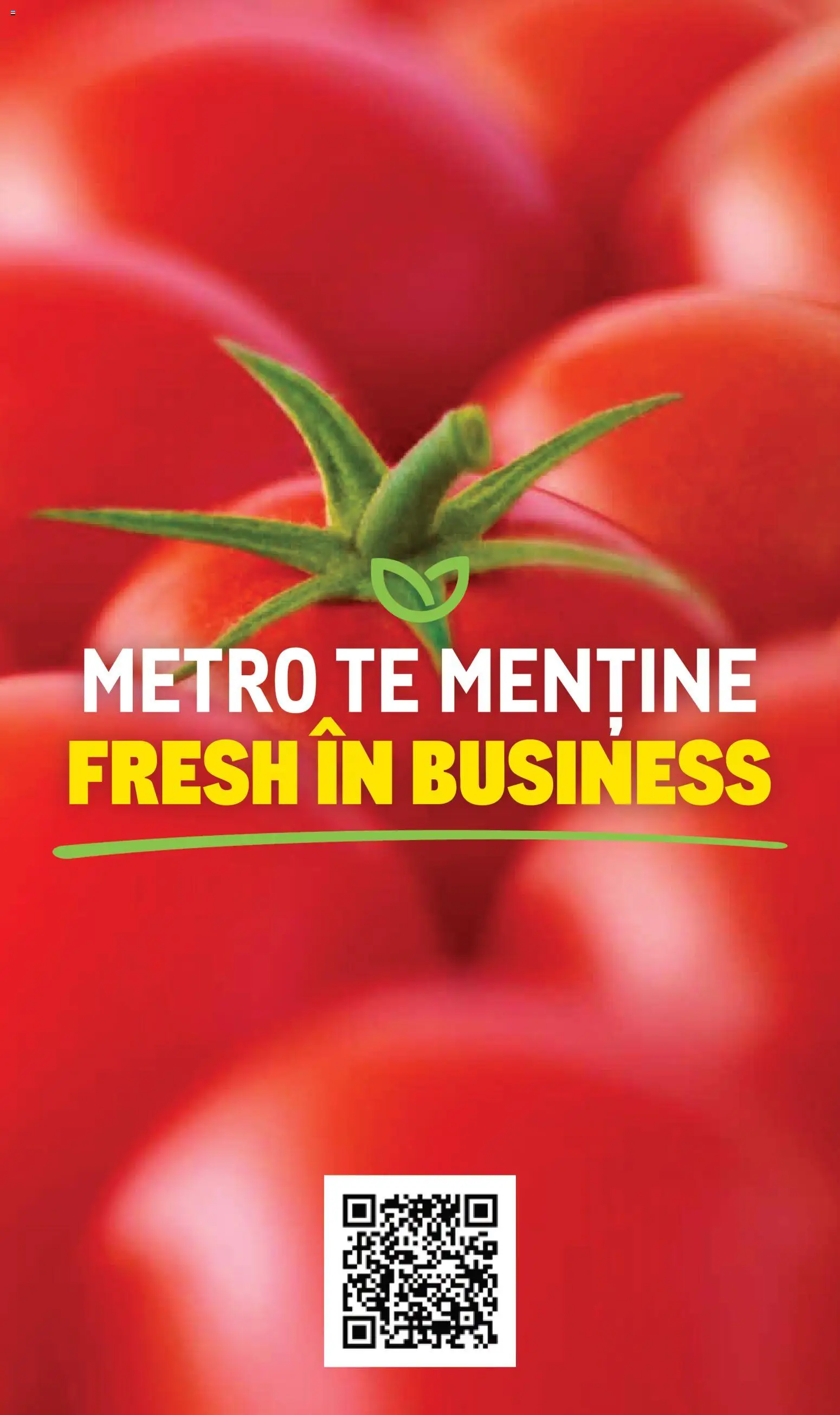 Catalog METRO 10 Noiembrie 2025 - 30 Decembrie 2026 | Pagina 12