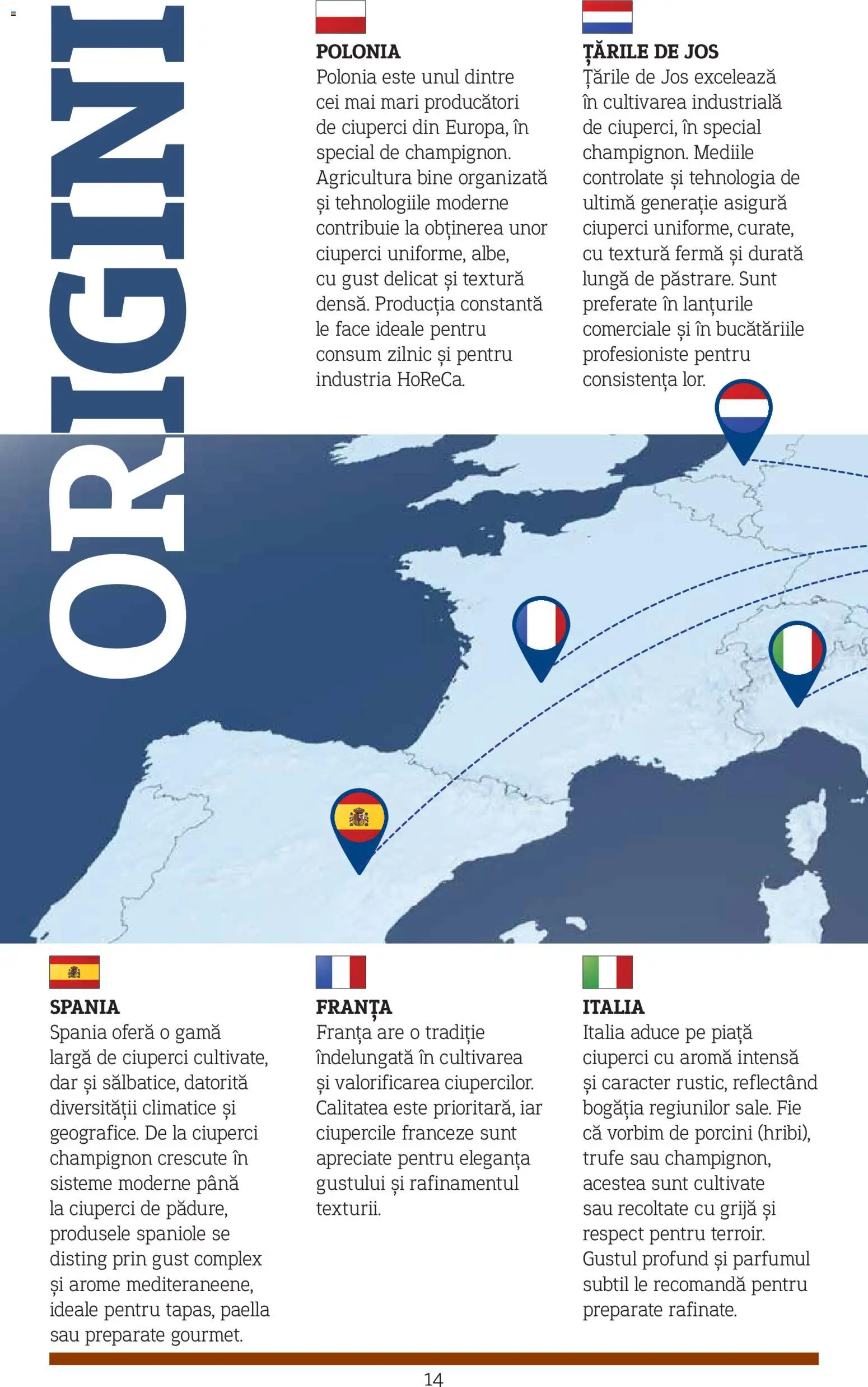 Catalog METRO 10 Noiembrie 2025 - 30 Decembrie 2026 | Pagina 14 | Produse: Ciuperci