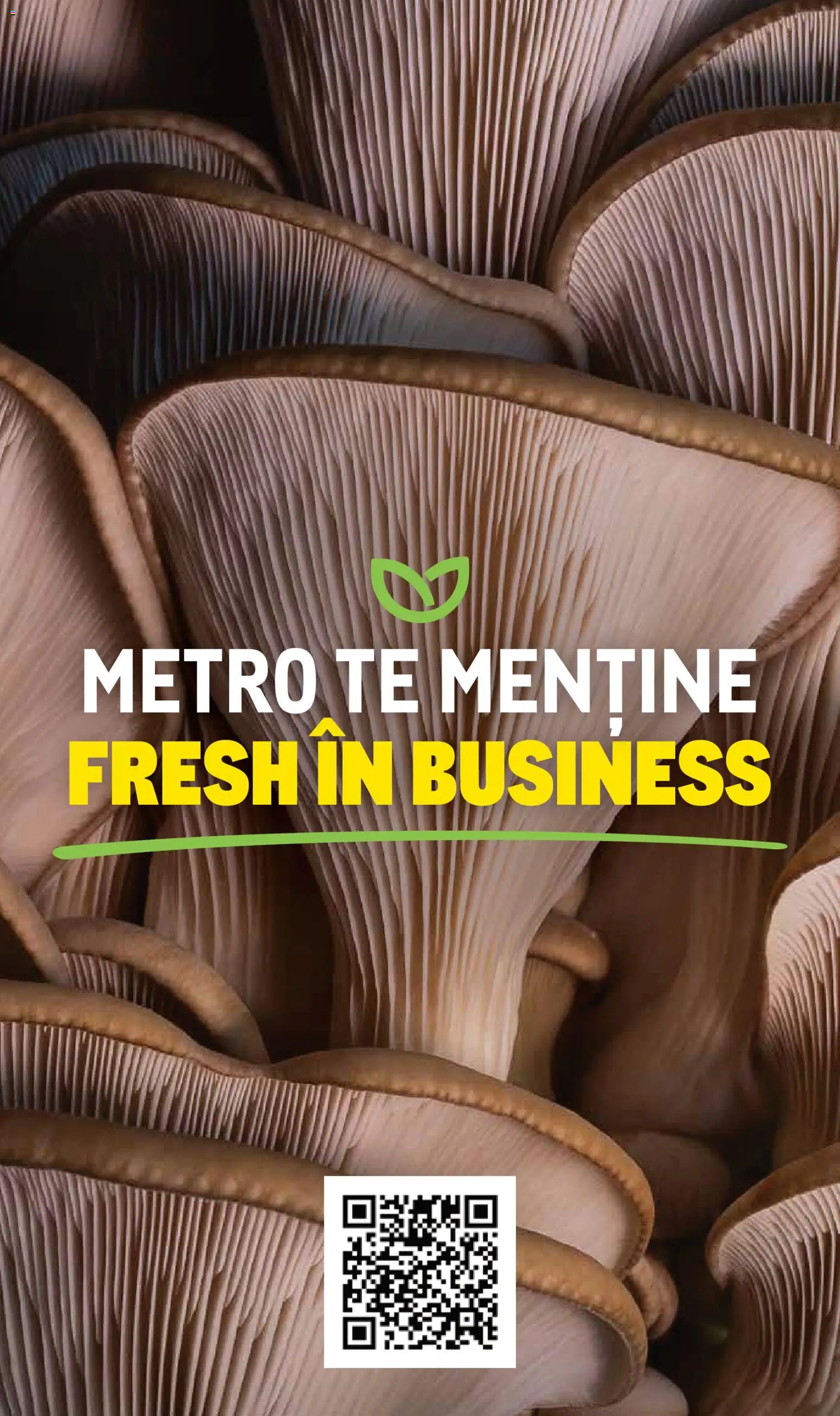 Catalog METRO 10 Noiembrie 2025 - 30 Decembrie 2026 | Pagina 16