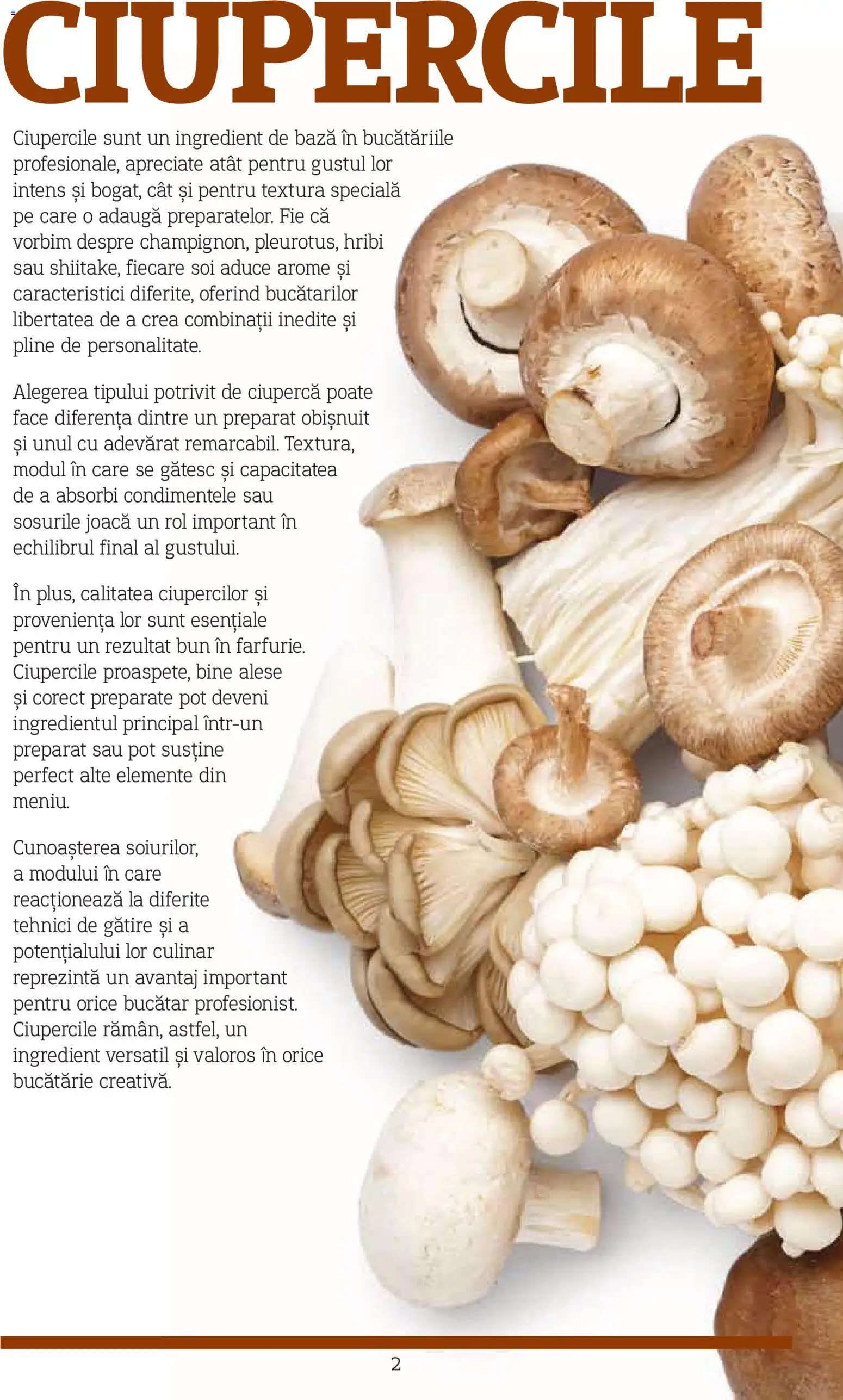 Catalog METRO 10 Noiembrie 2025 - 30 Decembrie 2026 | Pagina 2 | Produse: Bucătărie