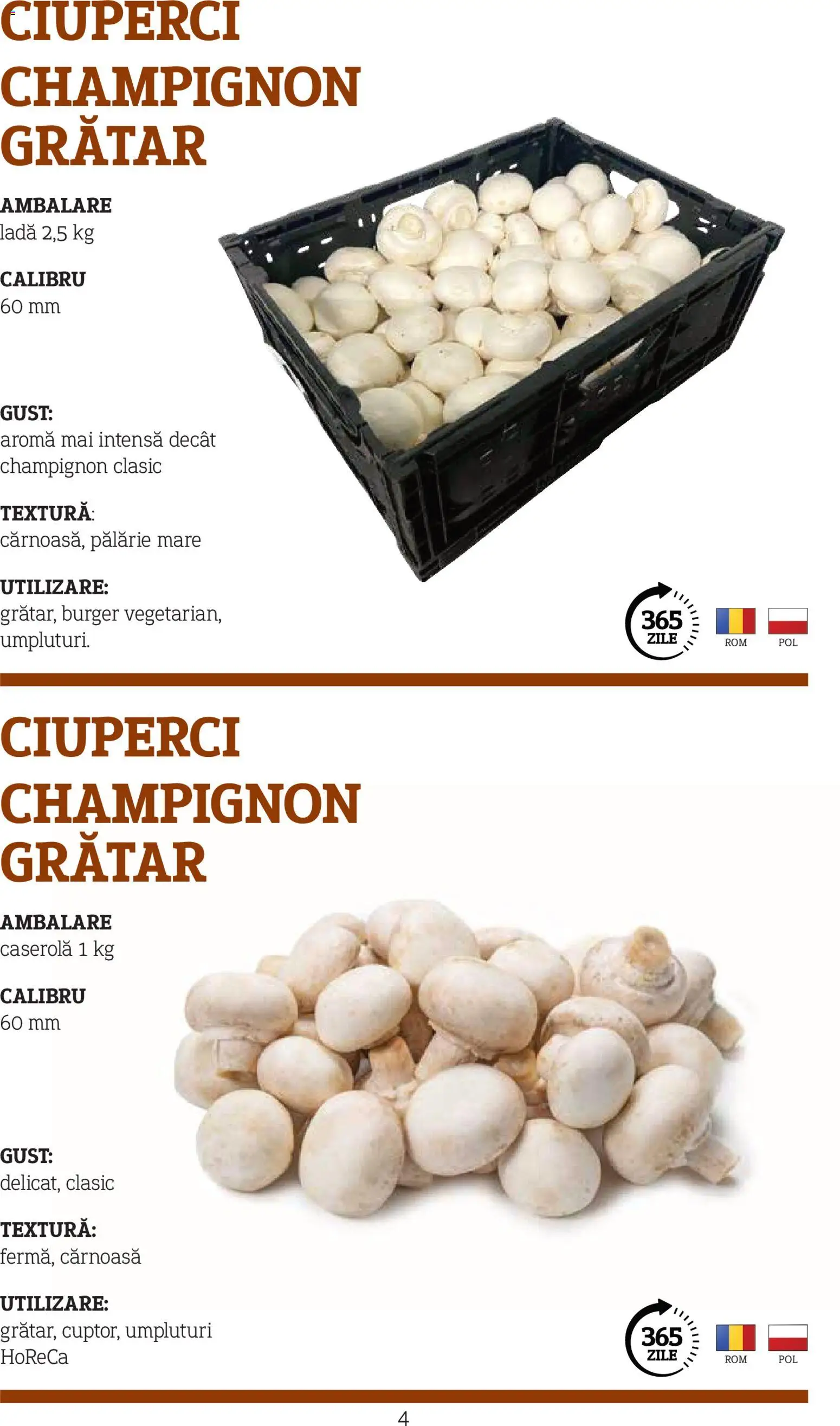 Catalog METRO 10 Noiembrie 2025 - 30 Decembrie 2026 | Pagina 4 | Produse: Pălărie, Grătar, Ciuperci, Burger