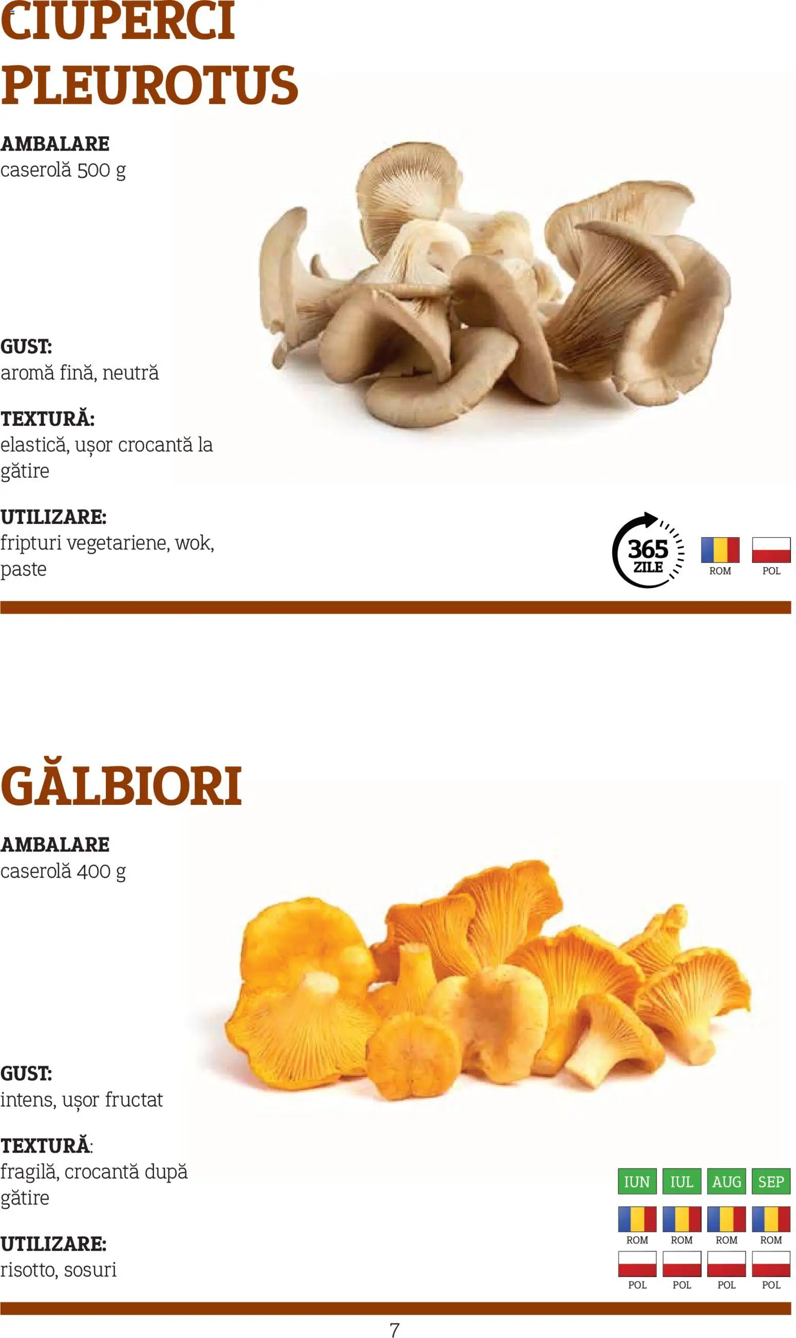 Catalog METRO 10 Noiembrie 2025 - 30 Decembrie 2026 | Pagina 7 | Produse: Ciuperci, Paste