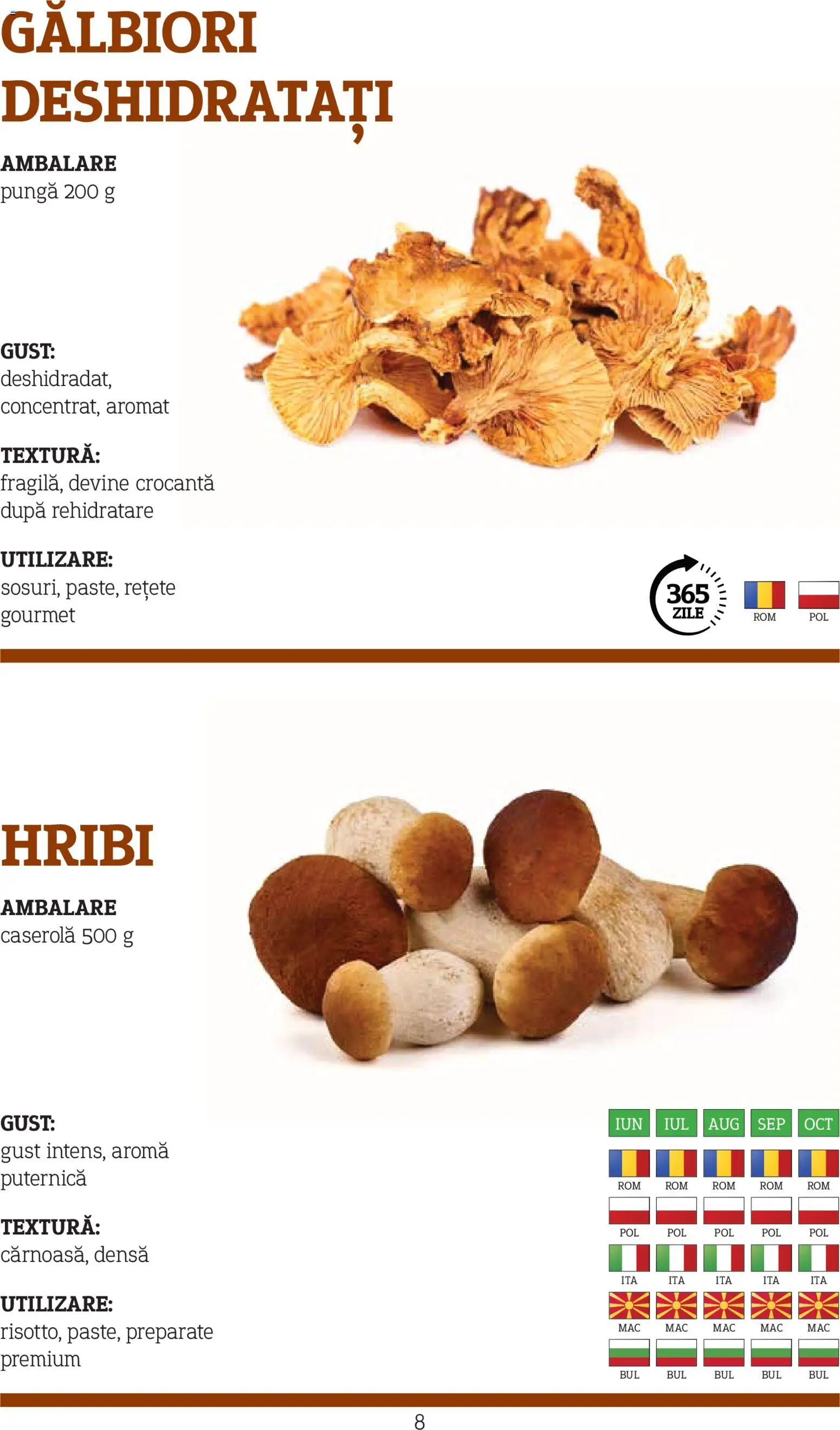 Catalog METRO 10 Noiembrie 2025 - 30 Decembrie 2026 | Pagina 8 | Produse: Pungă