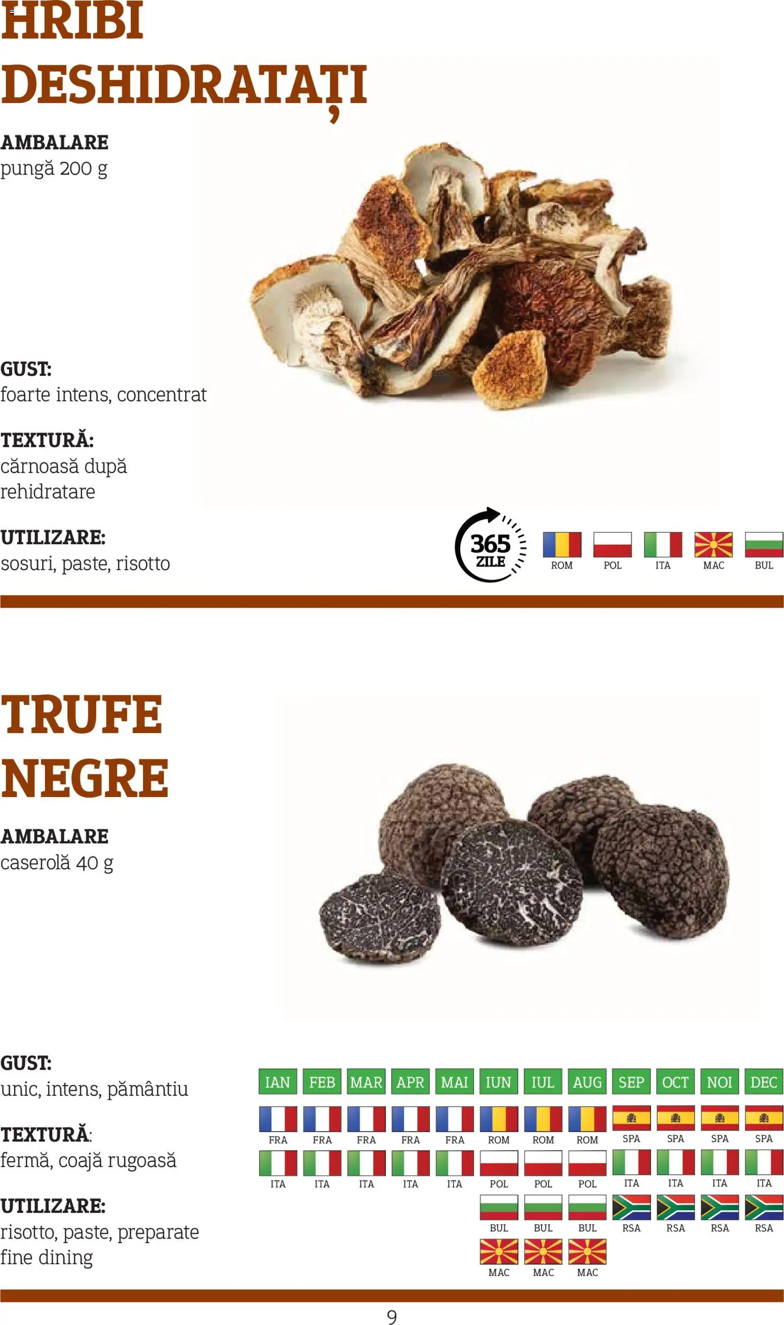 Catalog METRO 10 Noiembrie 2025 - 30 Decembrie 2026 | Pagina 9 | Produse: Pungă