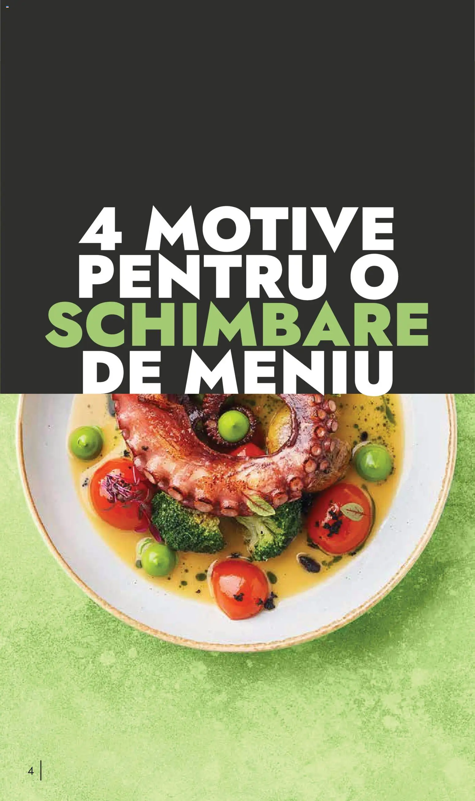 Catalog METRO 10 Noiembrie 2025 - 30 Decembrie 2026 | Pagina 4