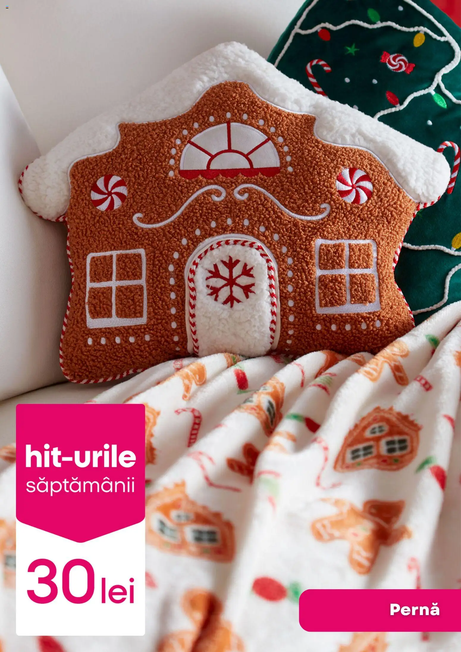Catalog Pepco 20 - 25 Noiembrie 2025 | Pagina 6 | Produse: Pernă