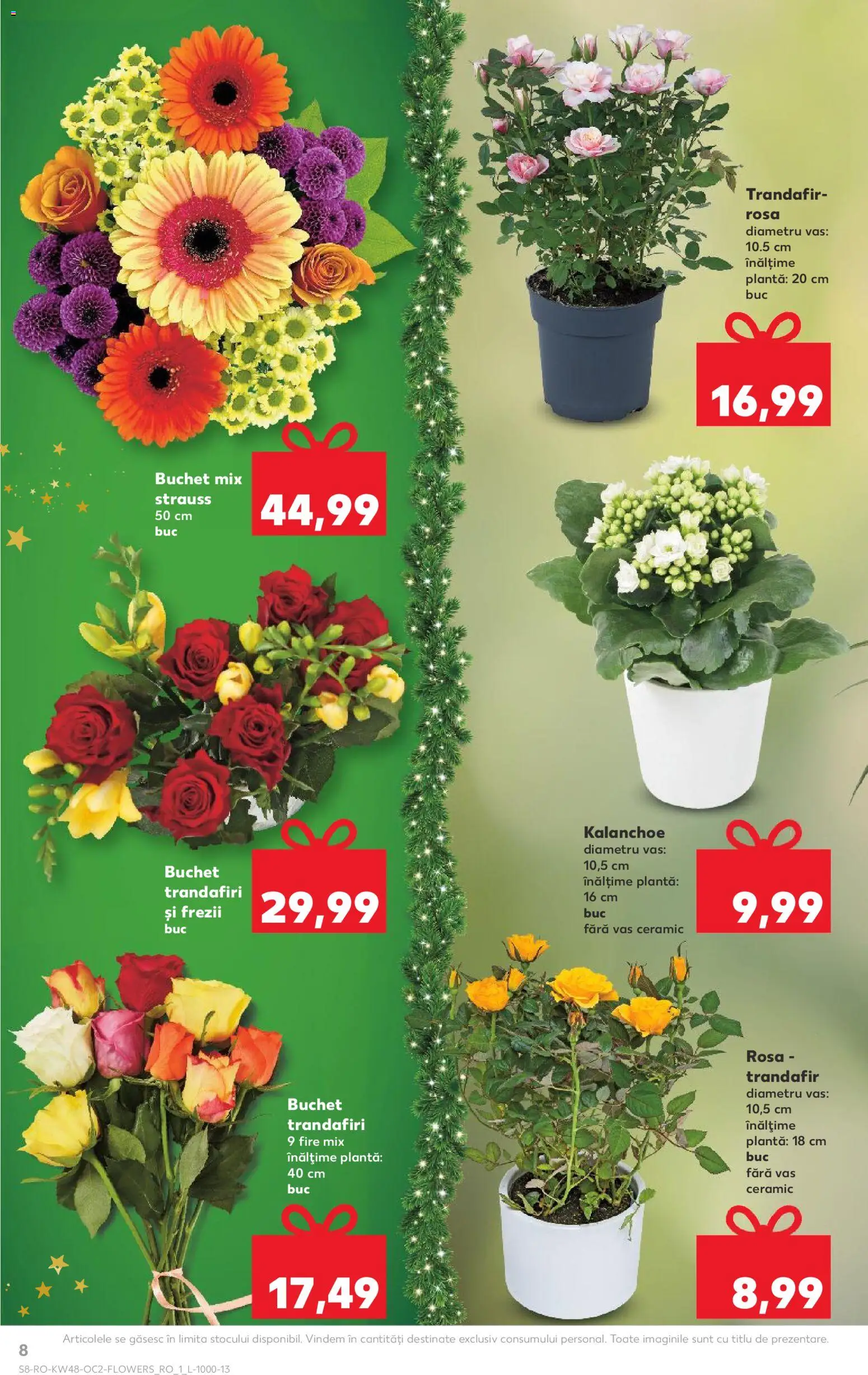 Catalog Kaufland 26 Noiembrie - 1 Decembrie 2025 | Pagina 8 | Produse: Trandafir
