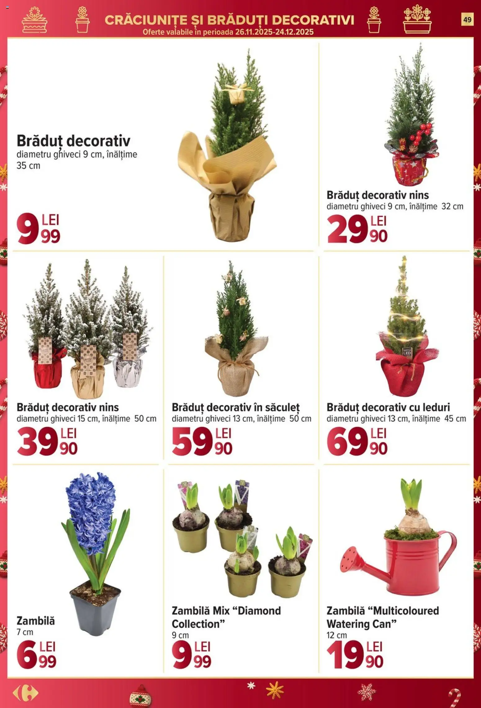 Catalog Carrefour 26 Noiembrie - 1 Decembrie 2025 | Pagina 49 | Produse: Ghiveci