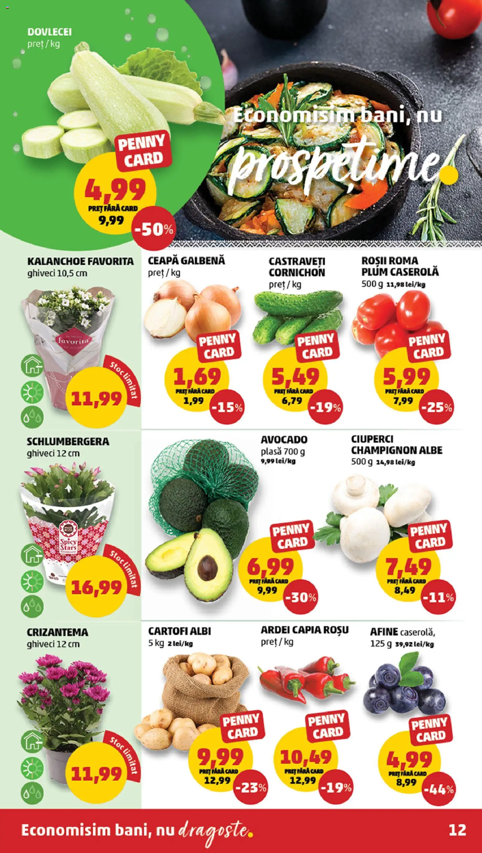 Catalog PENNY Market 26 Noiembrie - 1 Decembrie 2025 | Pagina 12 | Produse: Afine, Ceapă galbenă, Ciuperci, Castraveți
