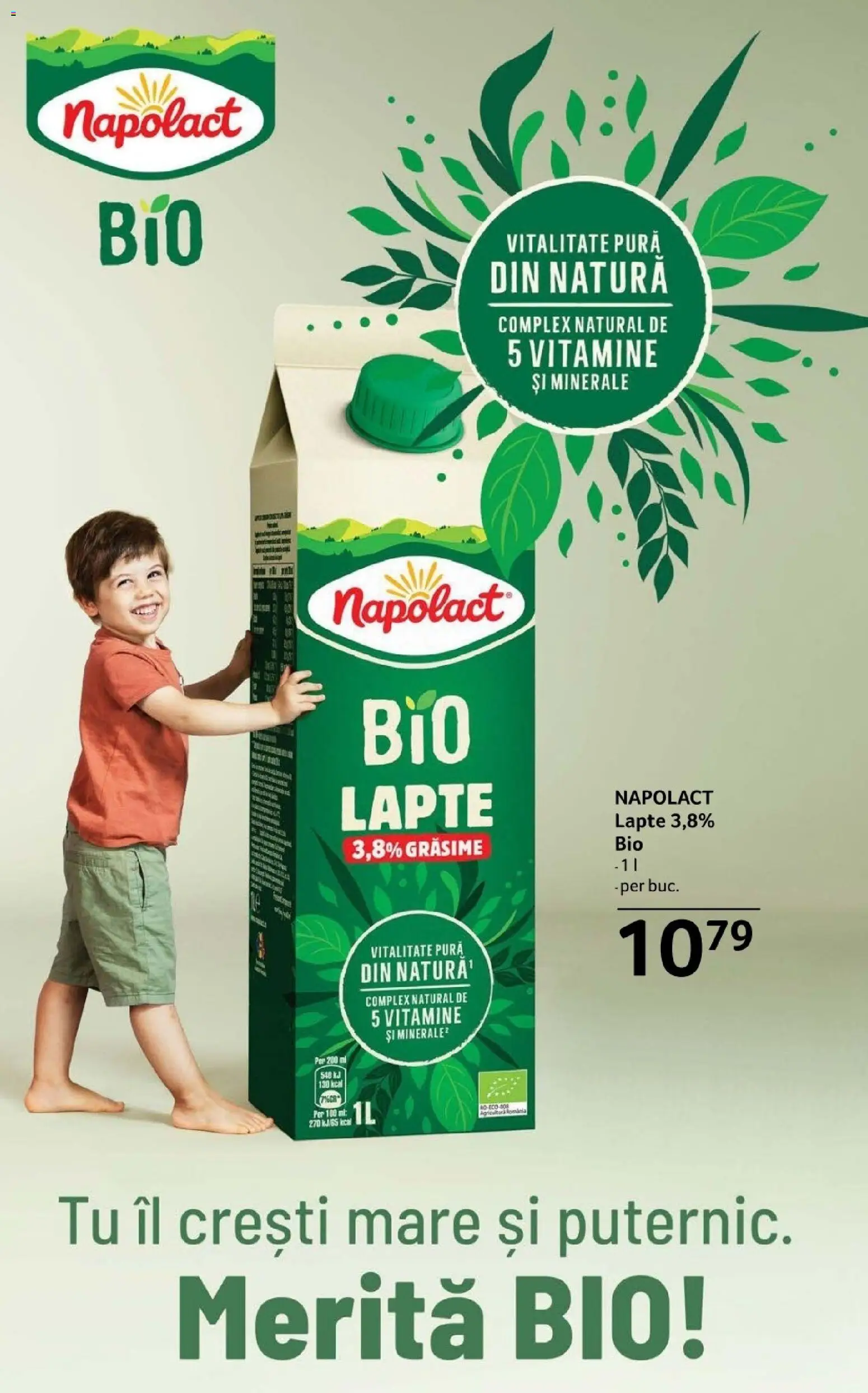 Catalog Selgros 28 Noiembrie - 10 Decembrie 2025 | Pagina 16 | Produse: Pomelo, Parfum, Pudră, Detergent