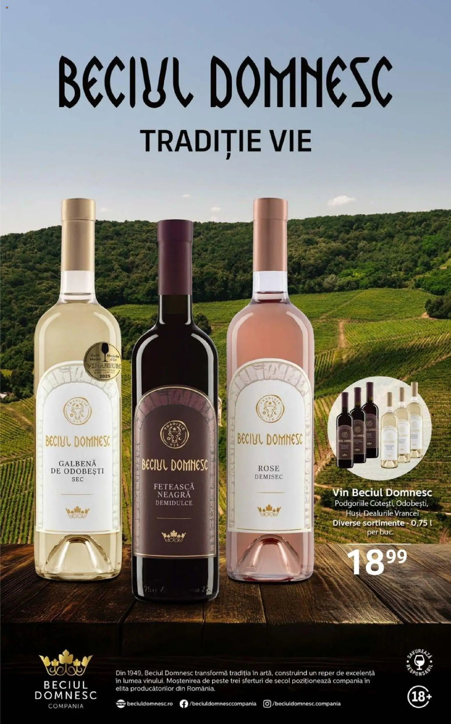 Catalog Selgros 28 Noiembrie - 10 Decembrie 2025 | Pagina 27 | Produse: Vin, Pește