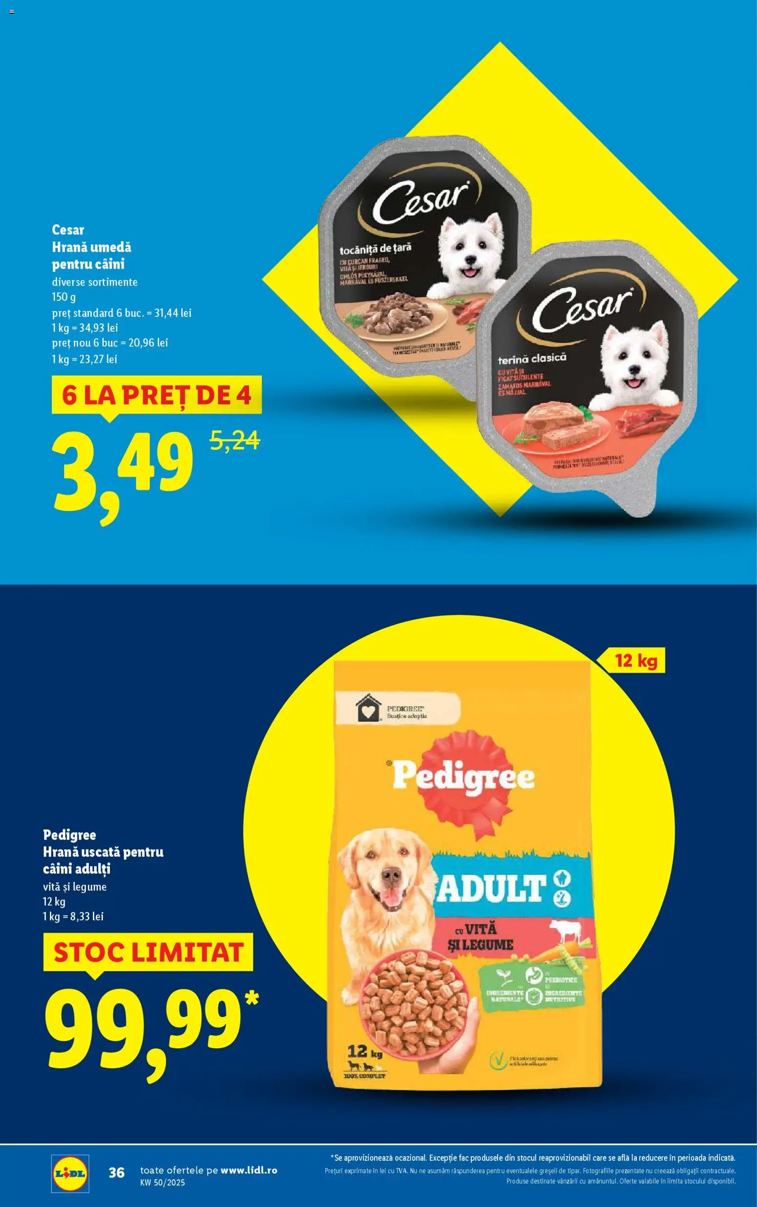 Catalog LIDL 8 - 13 Decembrie 2025 | Pagina 36