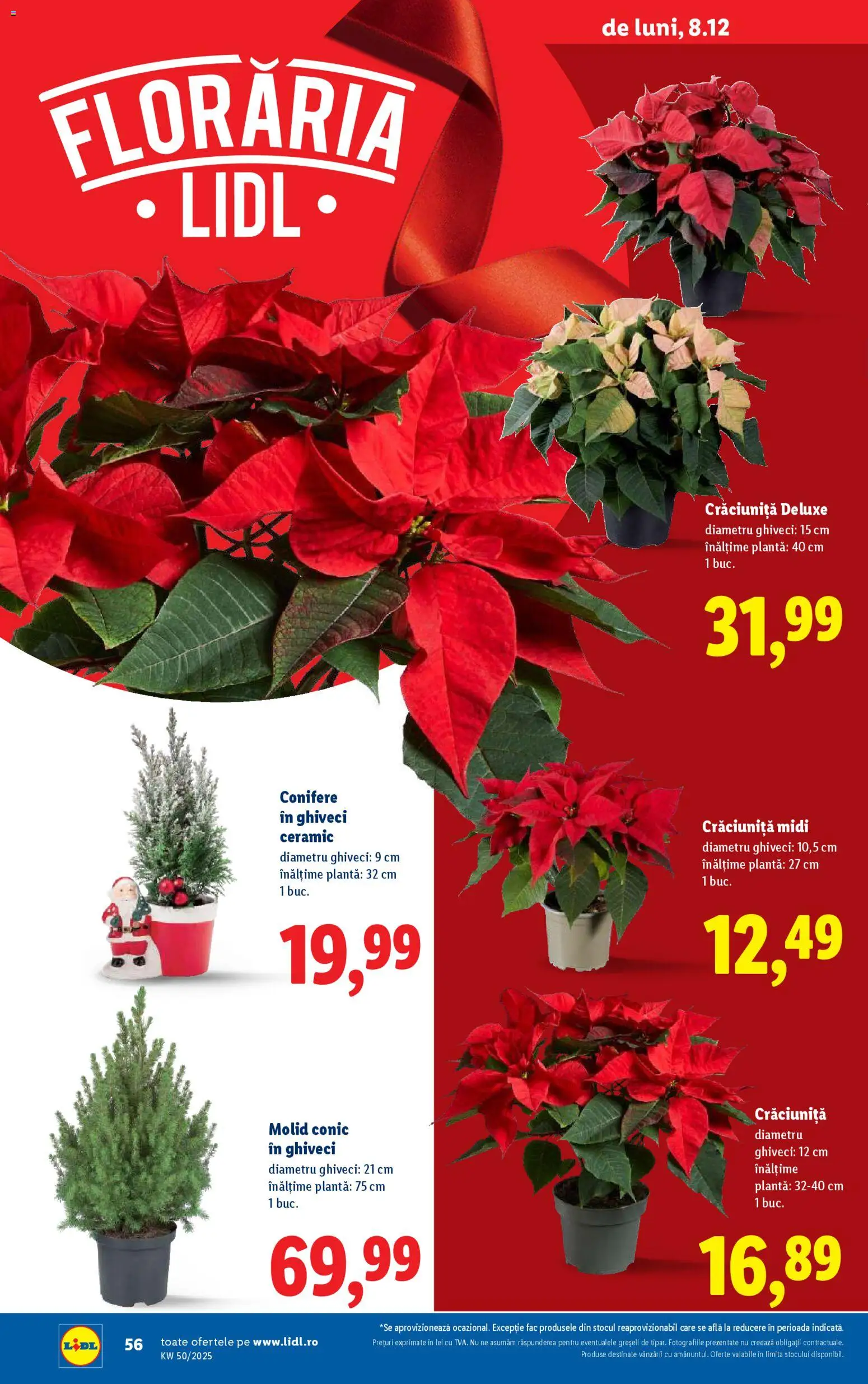 Catalog LIDL 8 - 13 Decembrie 2025 | Pagina 56