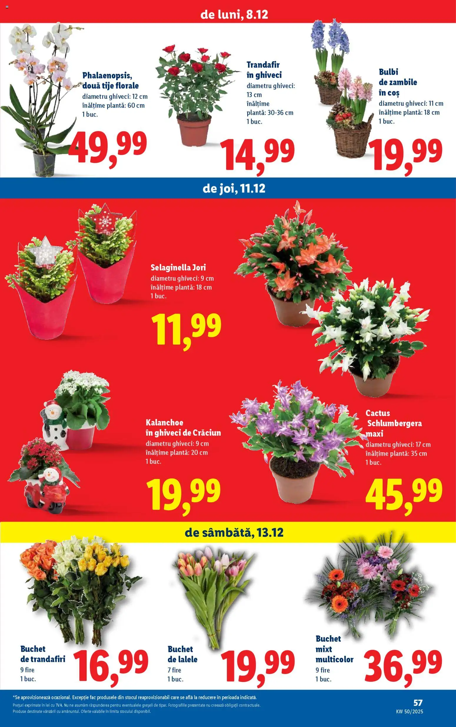 Catalog LIDL 8 - 13 Decembrie 2025 | Pagina 57