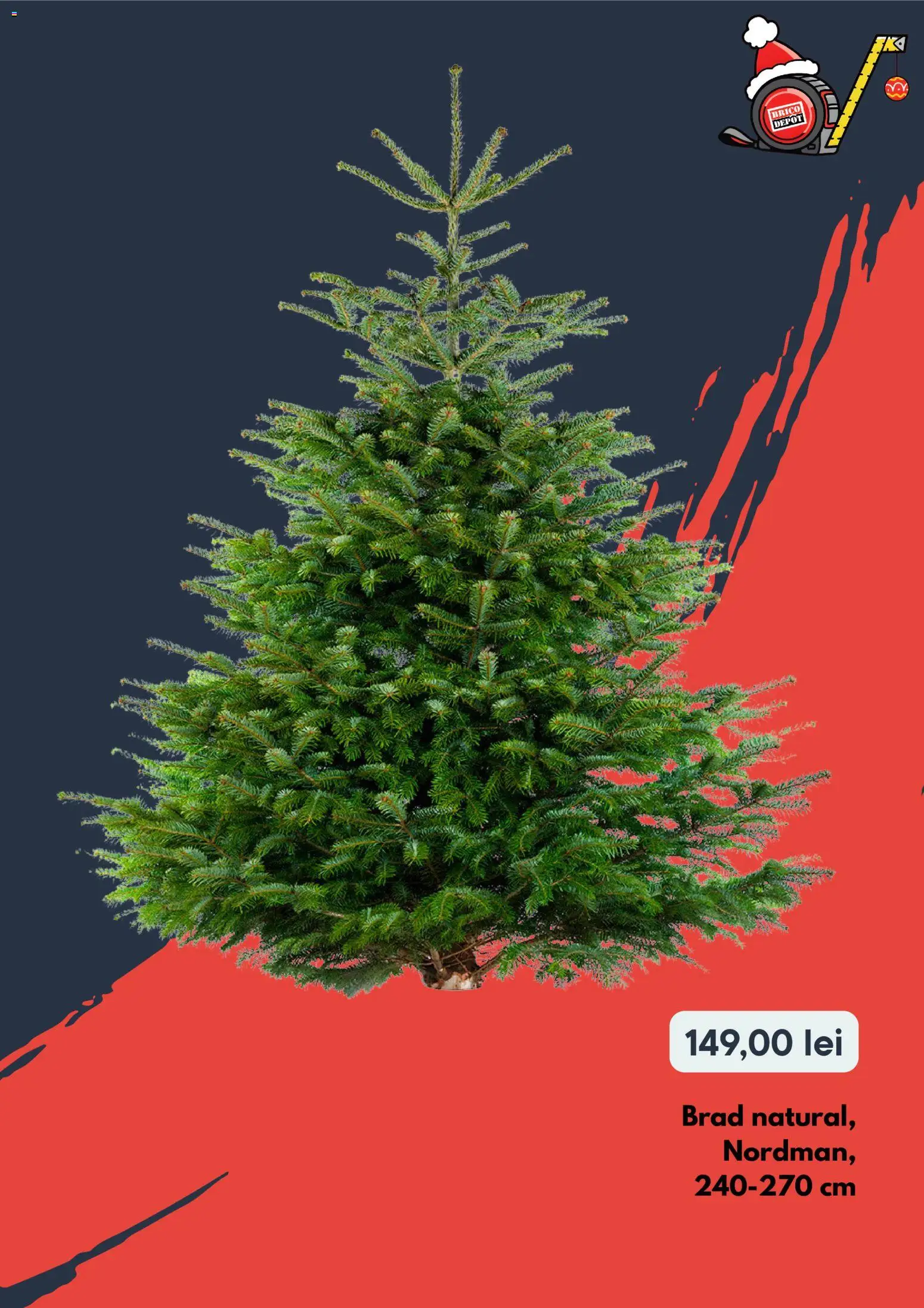 Catalog Brico Depot 4 - 16 Decembrie 2025 | Pagina 9