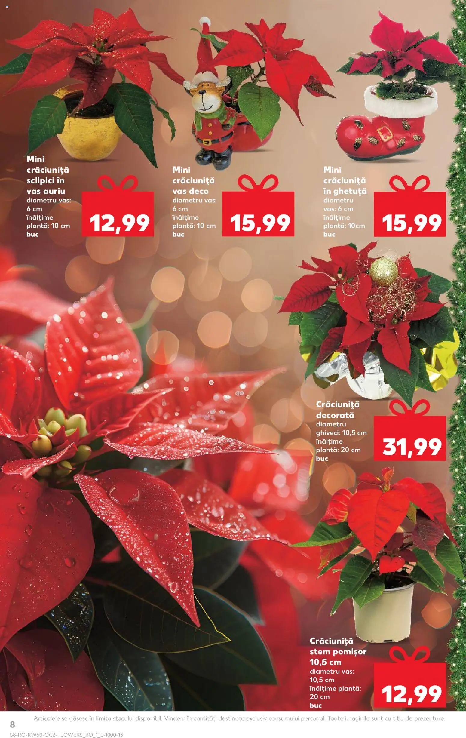 Catalog Kaufland 10 - 15 Decembrie 2025 | Pagina 8 | Produse: Ghiveci