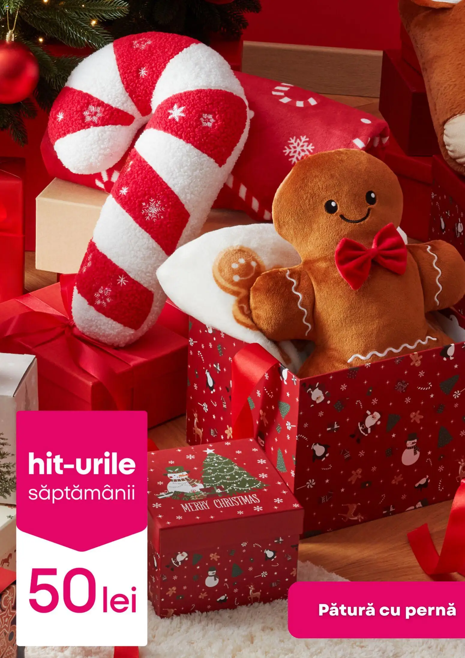 Catalog Pepco 11 - 16 Decembrie 2025 | Pagina 3 | Produse: Pernă, Pătură