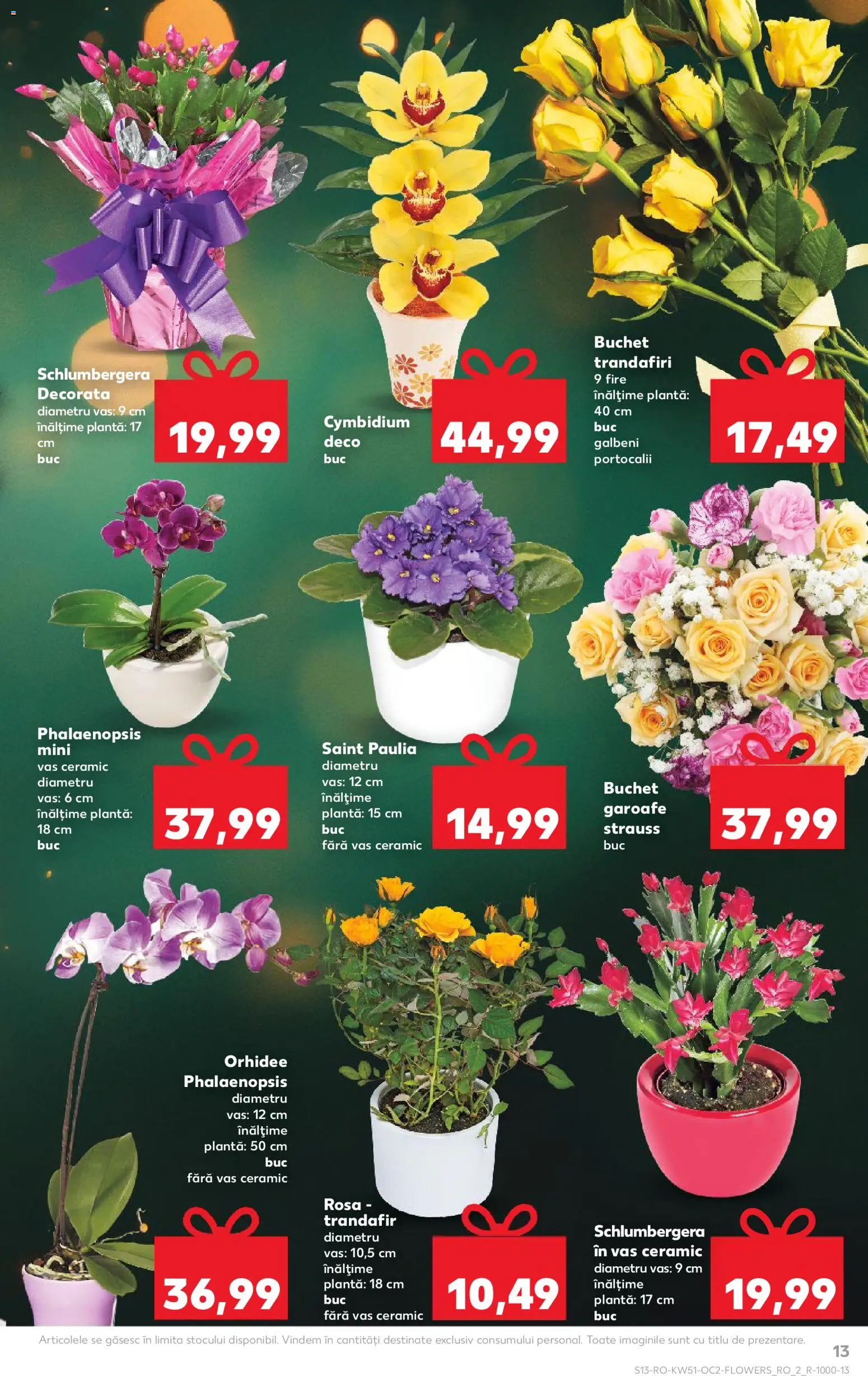 Catalog Kaufland 17 - 22 Decembrie 2025 | Pagina 13 | Produse: Trandafir, Orhidee