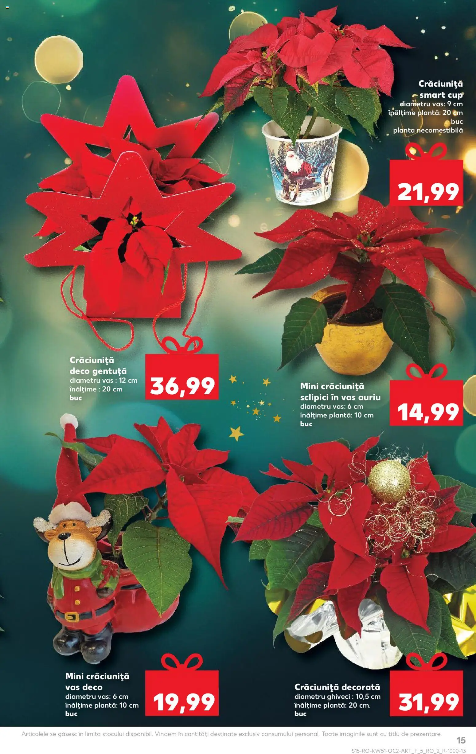 Catalog Kaufland 17 - 22 Decembrie 2025 | Pagina 15 | Produse: Ghiveci