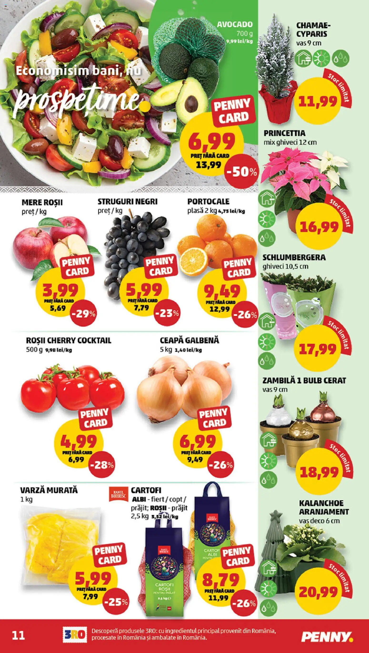 Catalog PENNY Market 17 - 25 Decembrie 2025 | Pagina 11 | Produse: Ghiveci, Mere, Roșii, Avocado