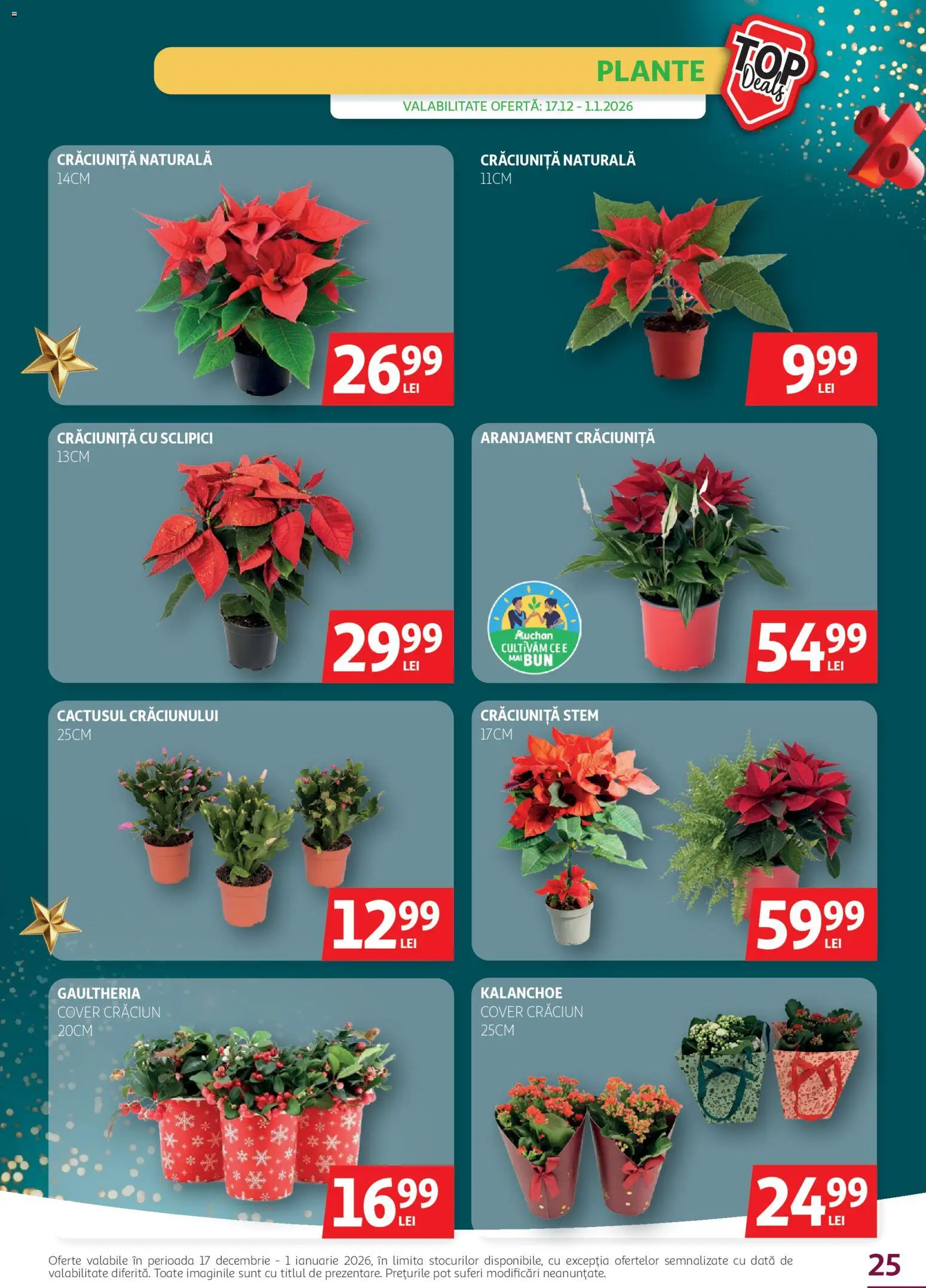 Catalog Auchan 17 - 31 Decembrie 2025 | Pagina 25