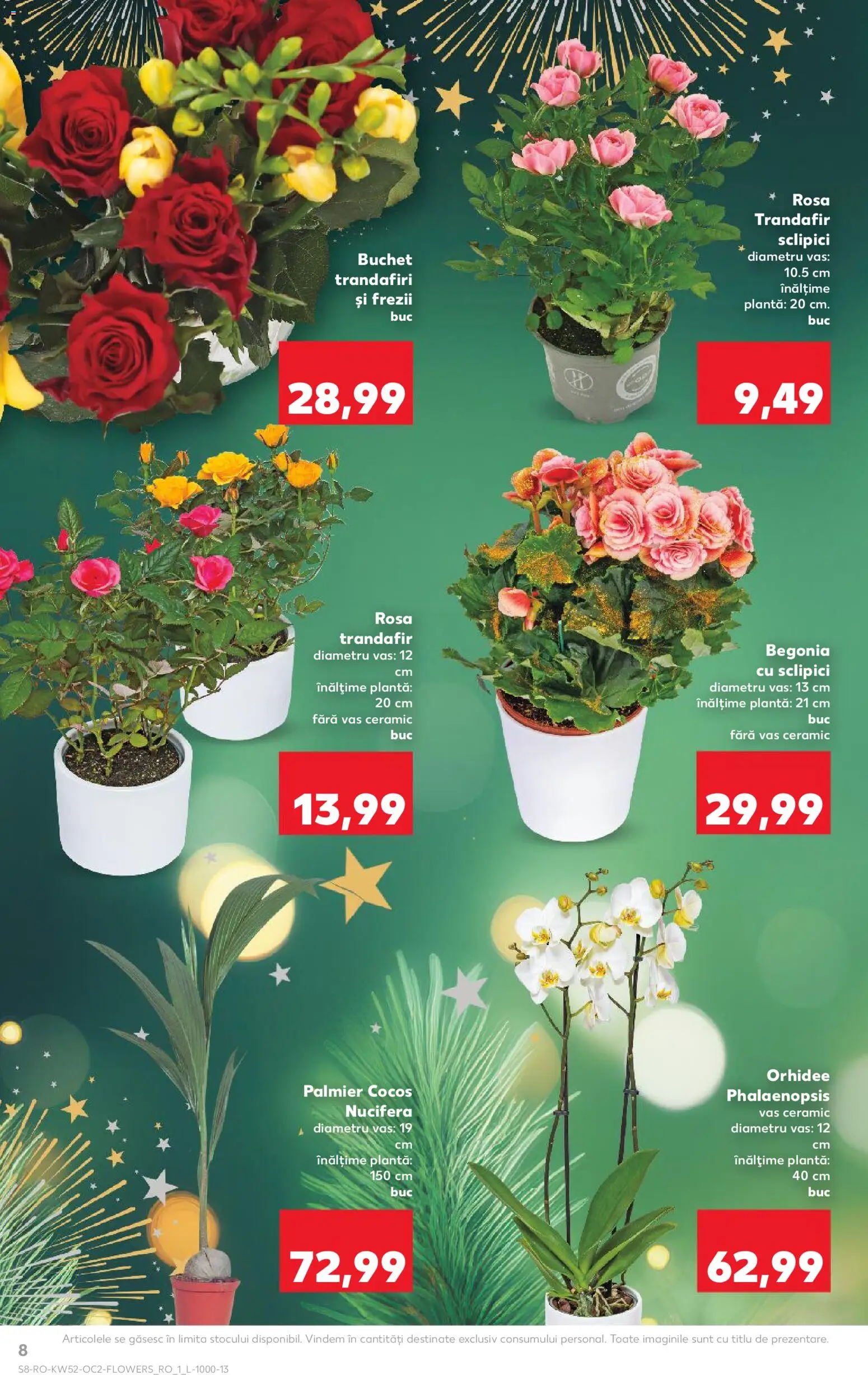 Catalog Kaufland 24 - 29 Decembrie 2025 | Pagina 8 | Produse: Trandafir, Orhidee