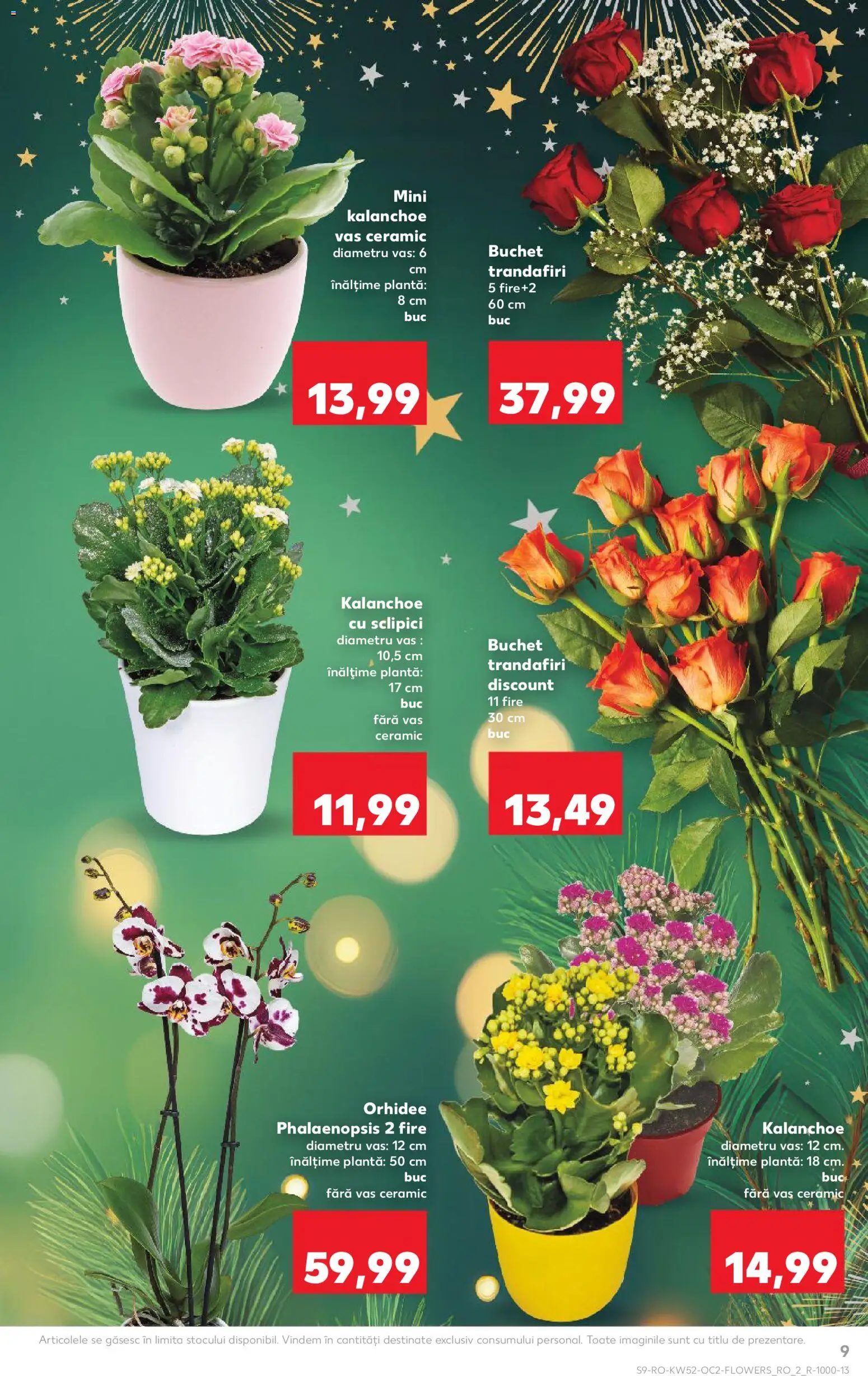 Catalog Kaufland 24 - 29 Decembrie 2025 | Pagina 9 | Produse: Orhidee