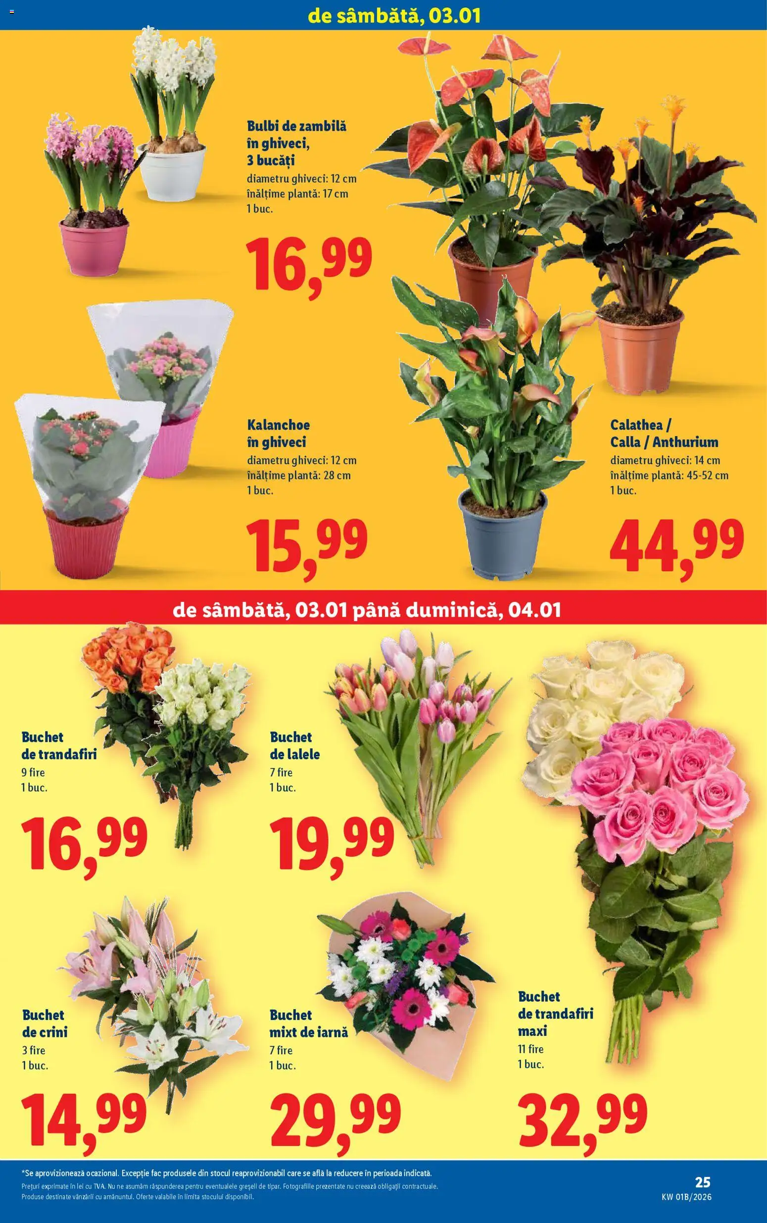 Catalog LIDL 2 - 3 Ianuarie 2026 | Pagina 25 | Produse: Ghiveci
