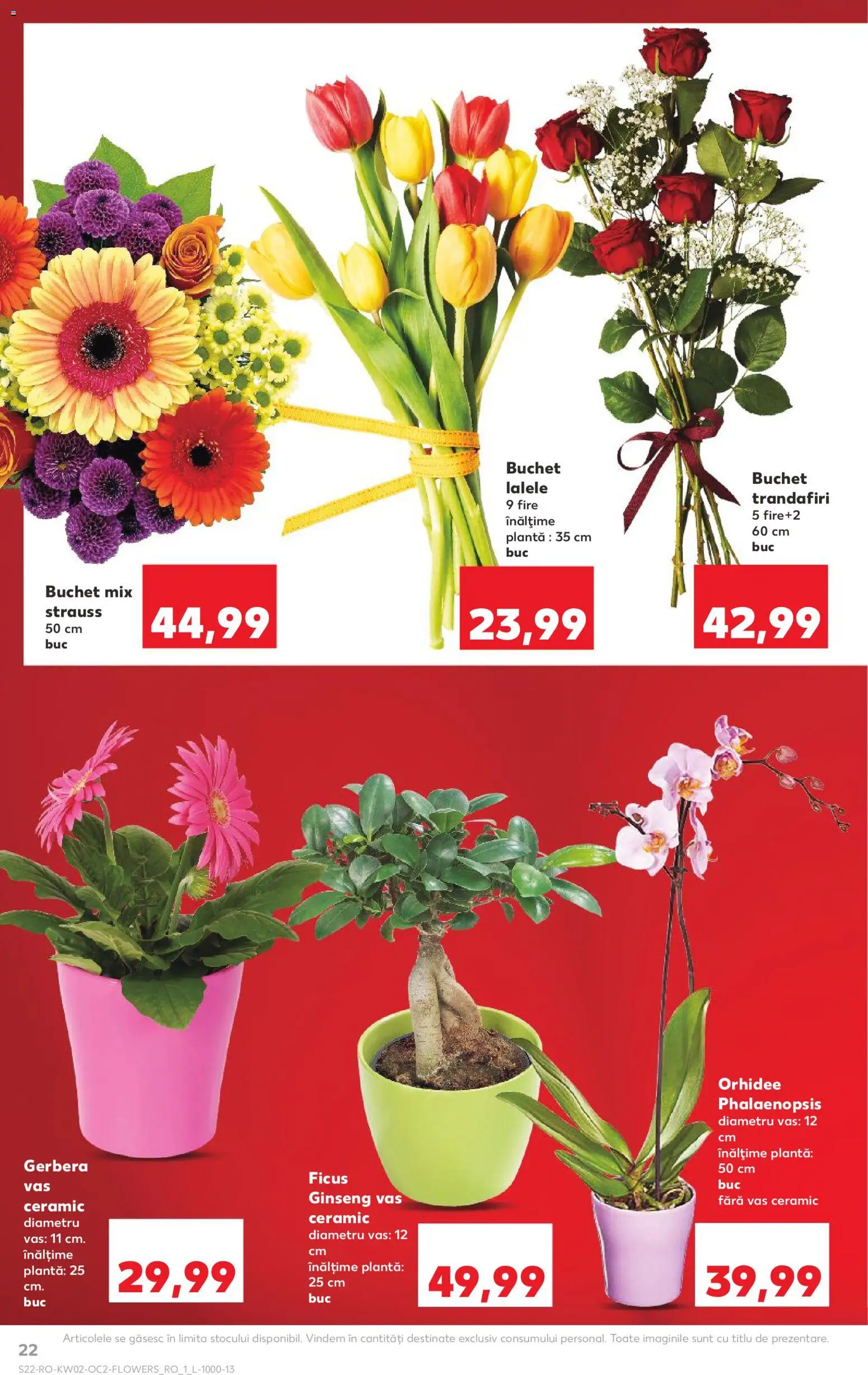 Catalog Kaufland 7 - 12 Ianuarie 2026 | Pagina 22 | Produse: Orhidee