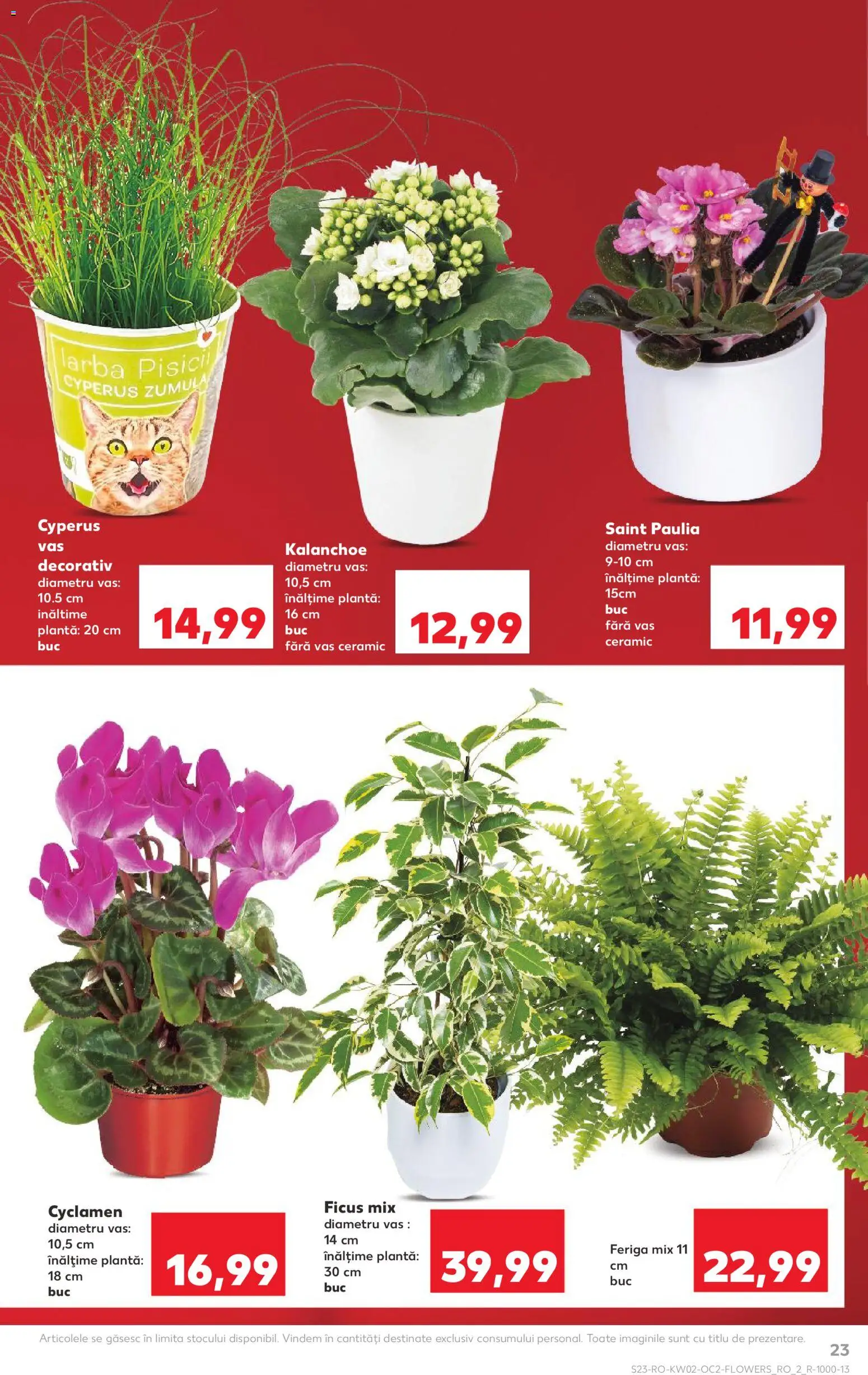 Catalog Kaufland 7 - 12 Ianuarie 2026 | Pagina 23