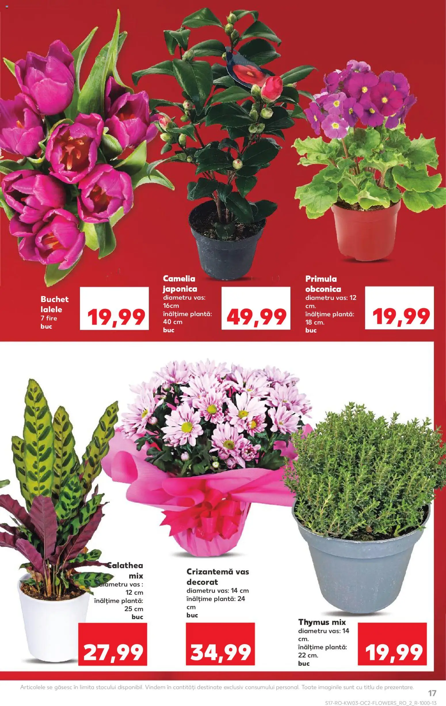 Catalog Kaufland 14 - 19 Ianuarie 2026 | Pagina 17