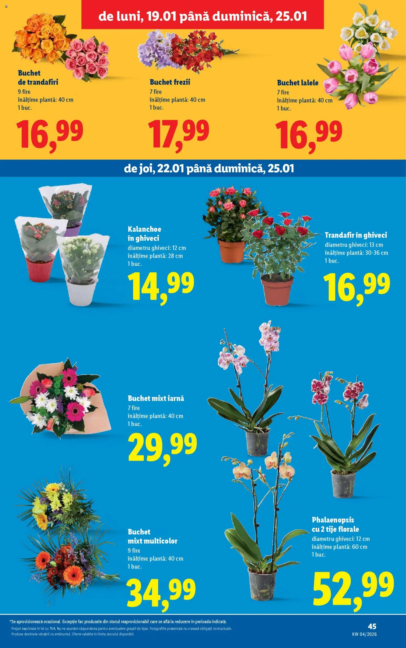 Catalog LIDL 19 - 24 Ianuarie 2026 | Pagina 45 | Produse: Trandafir, Ghiveci