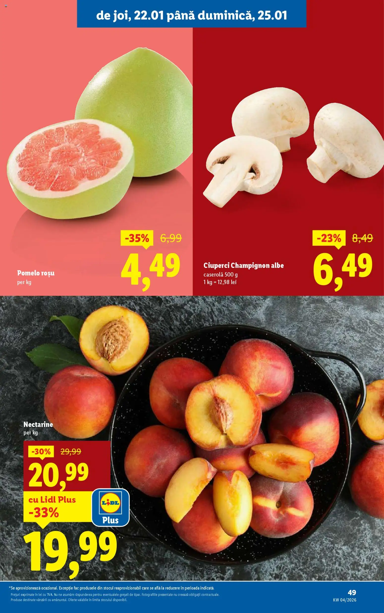 Catalog LIDL 19 - 24 Ianuarie 2026 | Pagina 49 | Produse: Temizlik kovası, Ciuperci