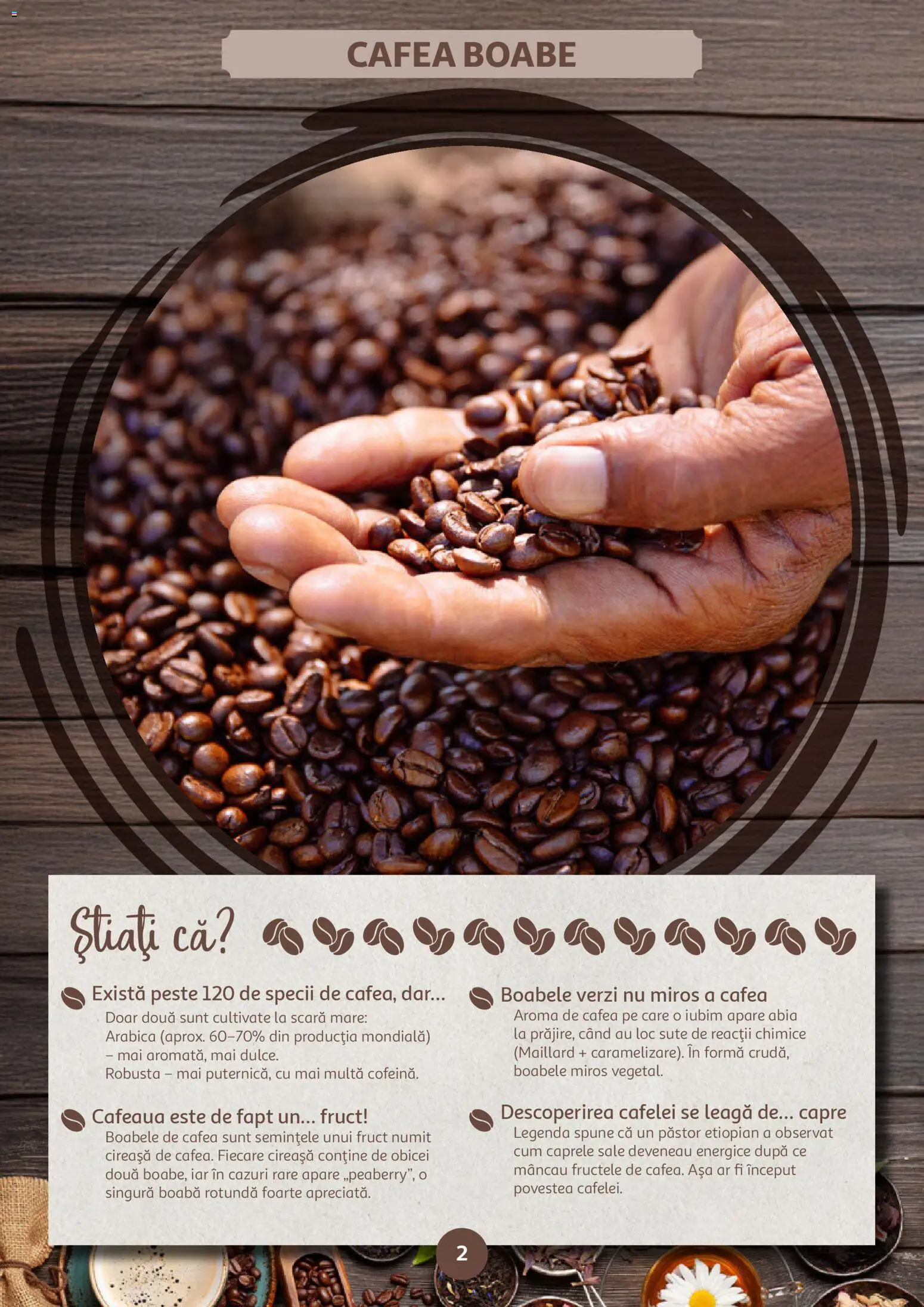 Catalog Auchan 14 Ianuarie - 9 Februarie 2026 | Pagina 2