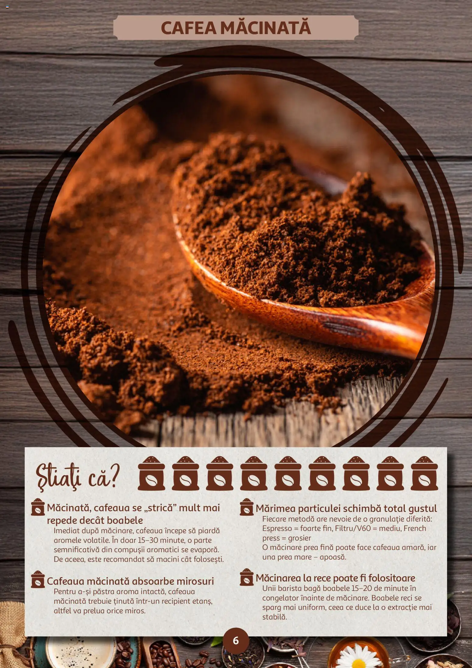 Catalog Auchan 14 Ianuarie - 9 Februarie 2026 | Pagina 6