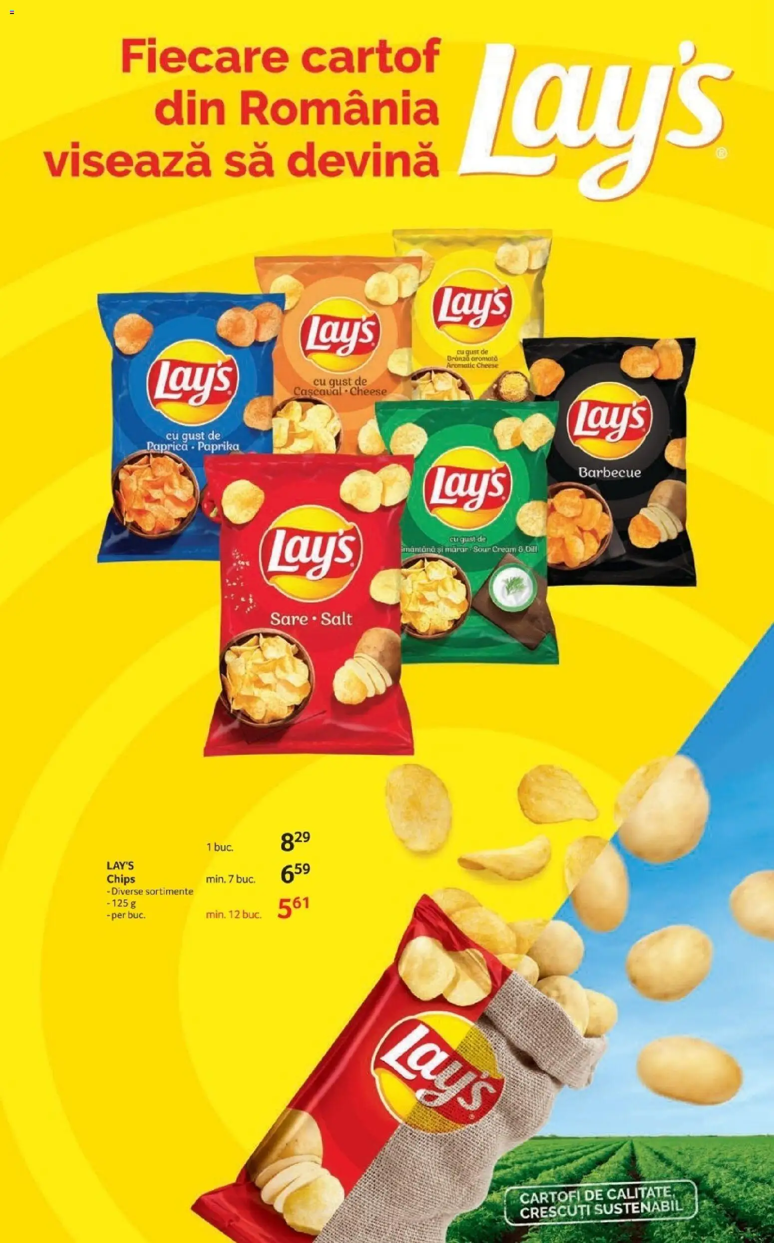 Catalog Selgros 23 Ianuarie - 4 Februarie 2026 | Pagina 13 | Produse: Brânză, Cartofi, Sare