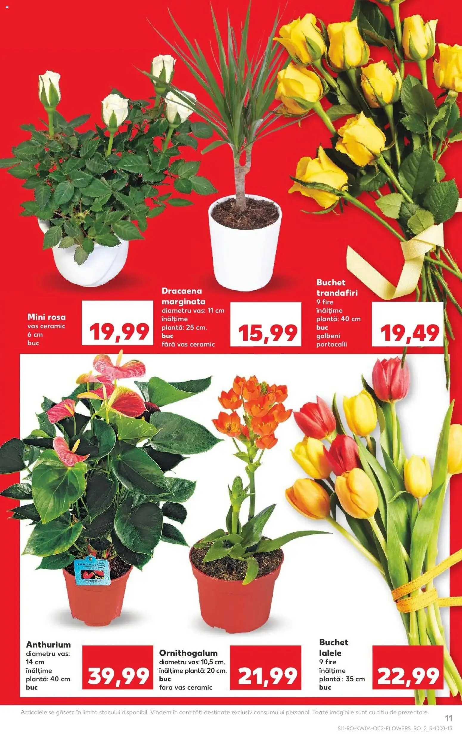 Catalog Kaufland 21 - 26 Ianuarie 2026 | Pagina 11