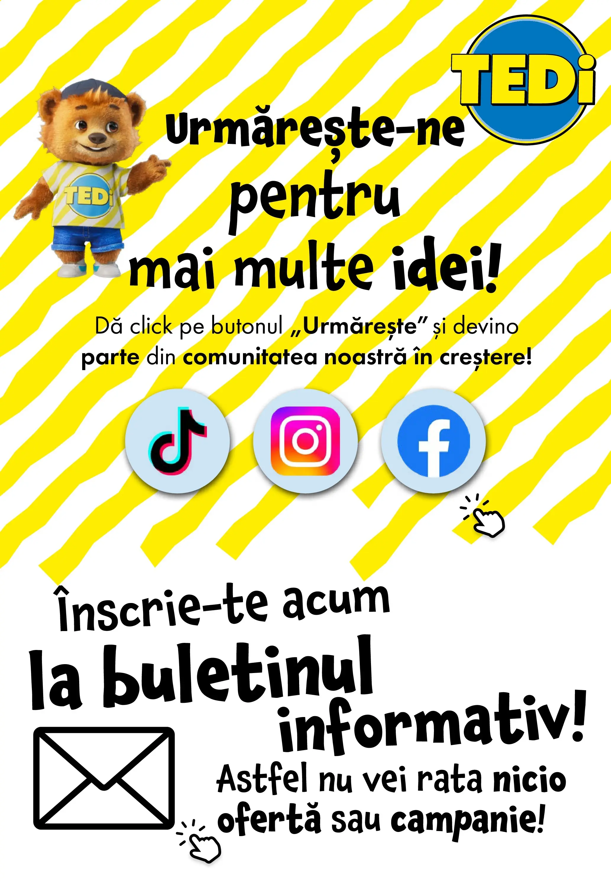 Catalog TEDi 29 Ianuarie - 4 Februarie 2026 | Pagina 12 | Produse: Rață