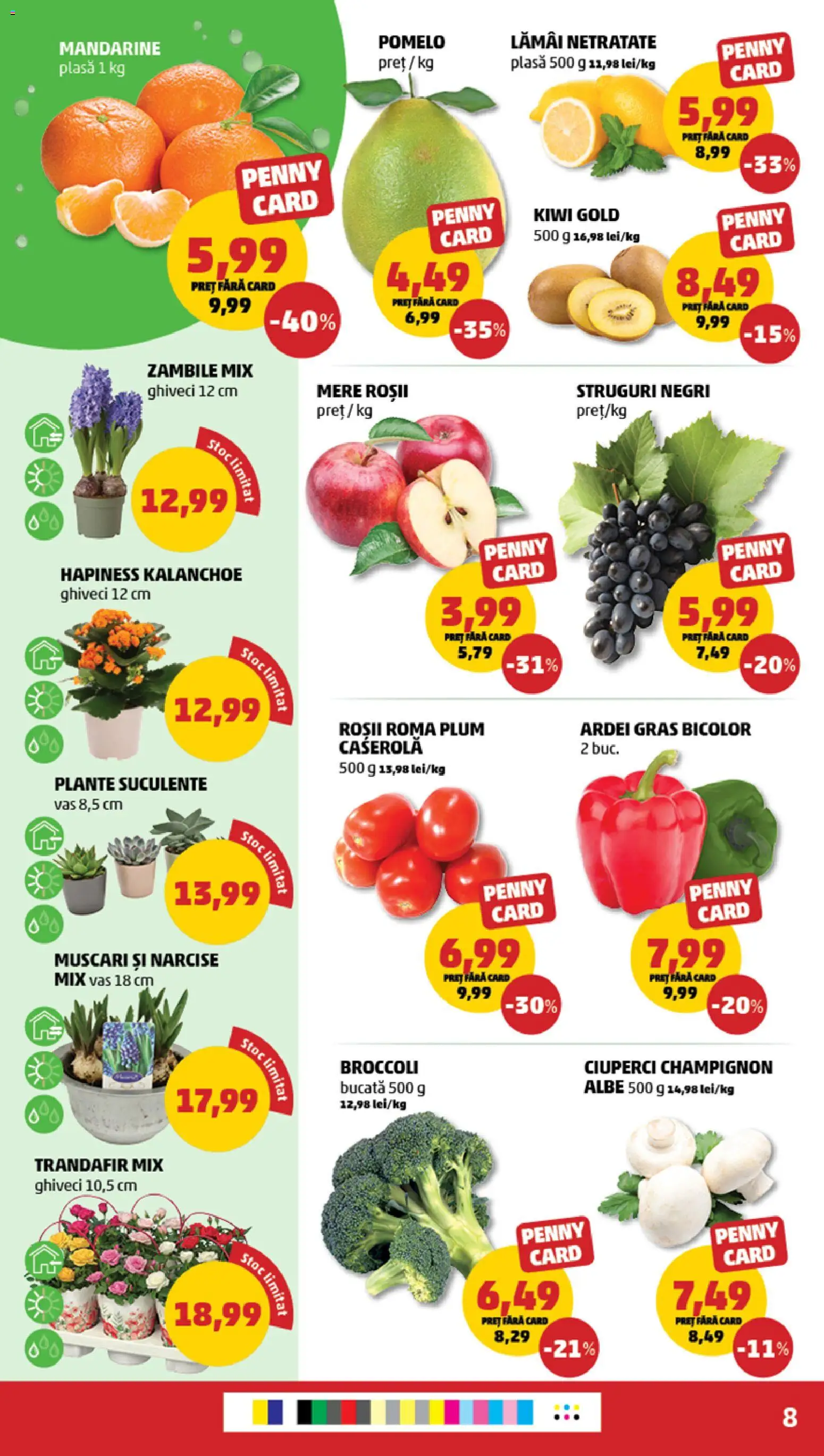 Catalog PENNY Market 28 Ianuarie - 2 Februarie 2026 | Pagina 8 | Produse: Struguri, Trandafir, Ciuperci, Kiwi