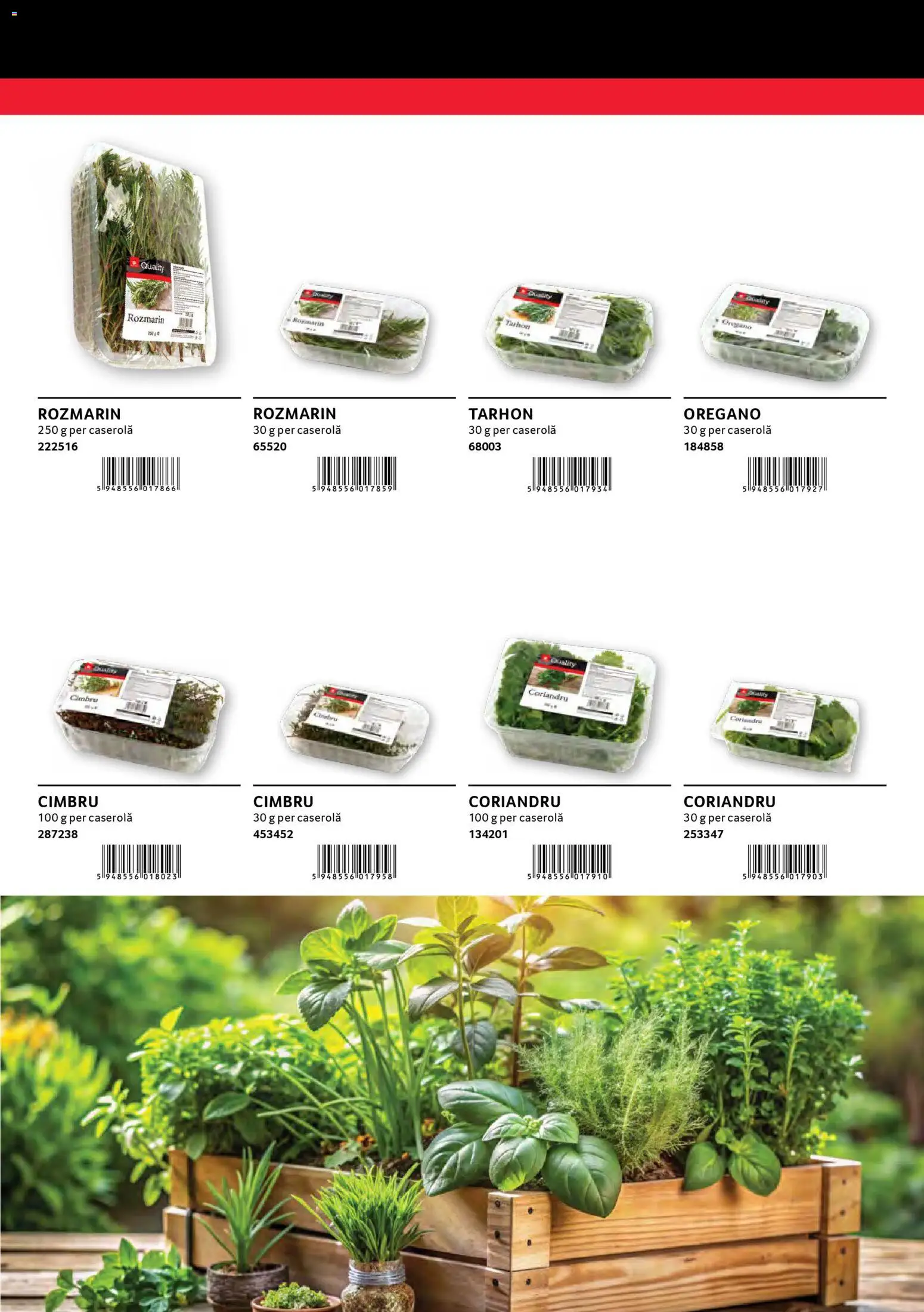 Catalog Selgros 30 2026 - 30 Ianuarie 2027 | Pagina 27