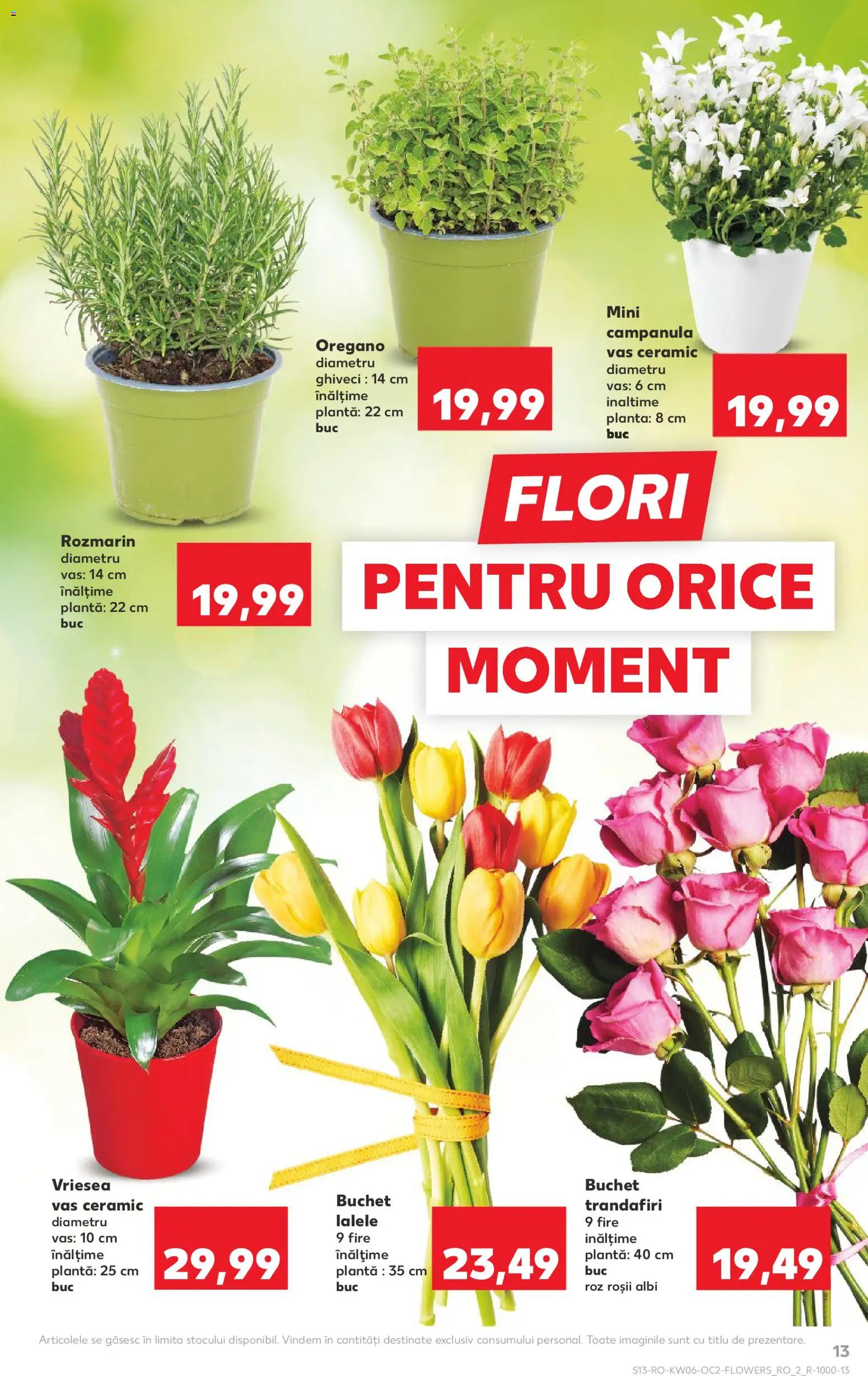 Catalog Kaufland 4 - 9 Februarie 2026 | Pagina 13 | Produse: Ghiveci, Roșii