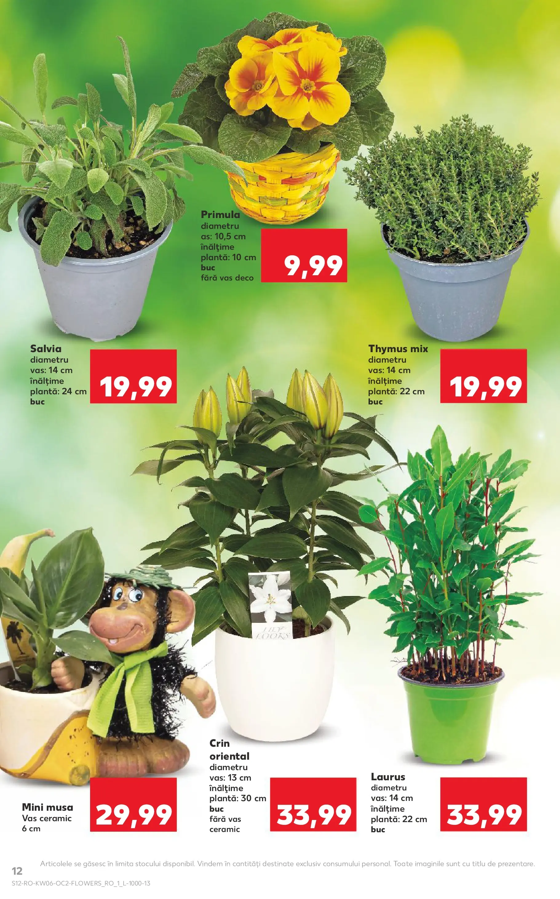Catalog Kaufland 4 - 9 Februarie 2026 | Pagina 12