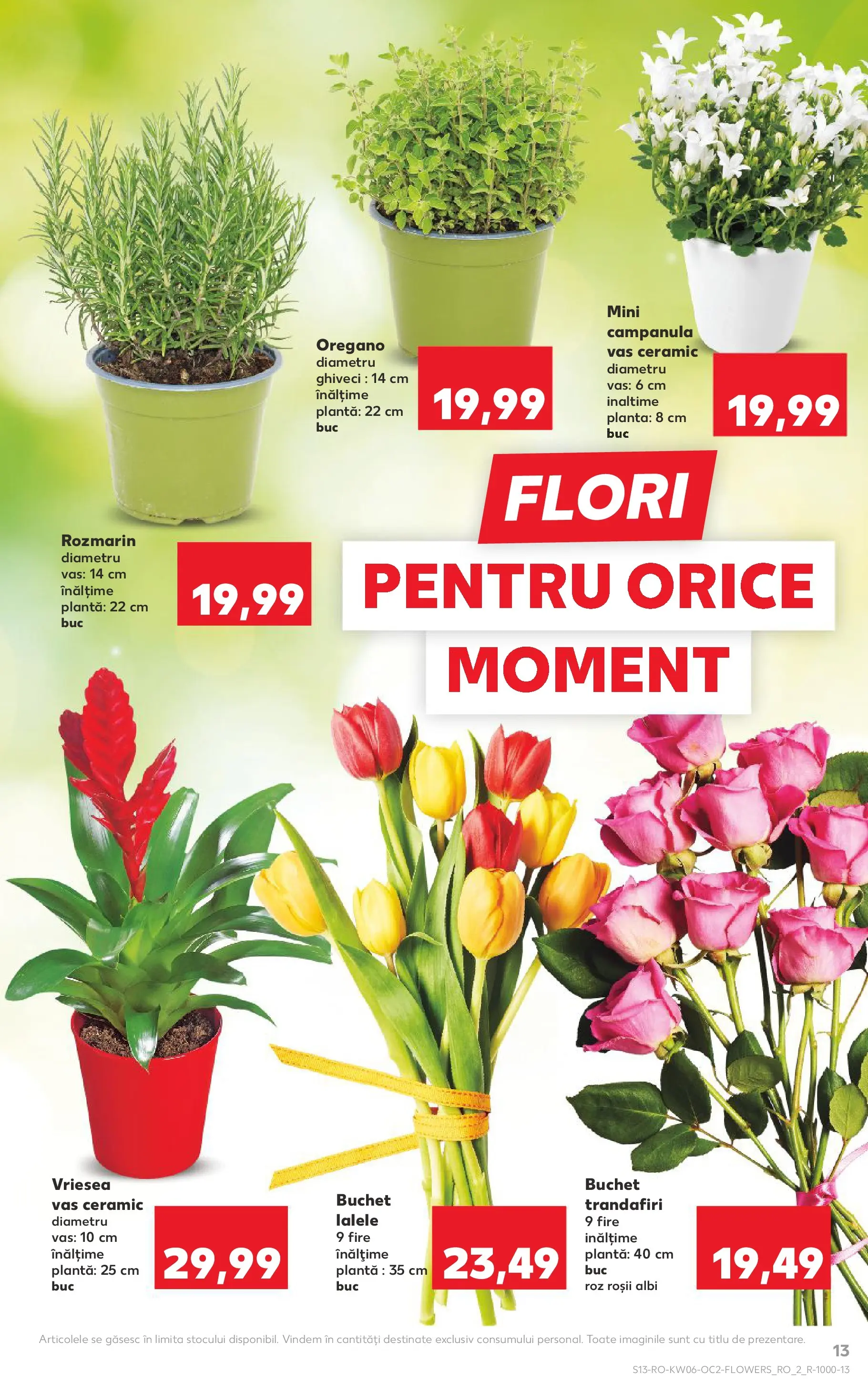 Catalog Kaufland 4 - 9 Februarie 2026 | Pagina 13 | Produse: Ghiveci, Roșii