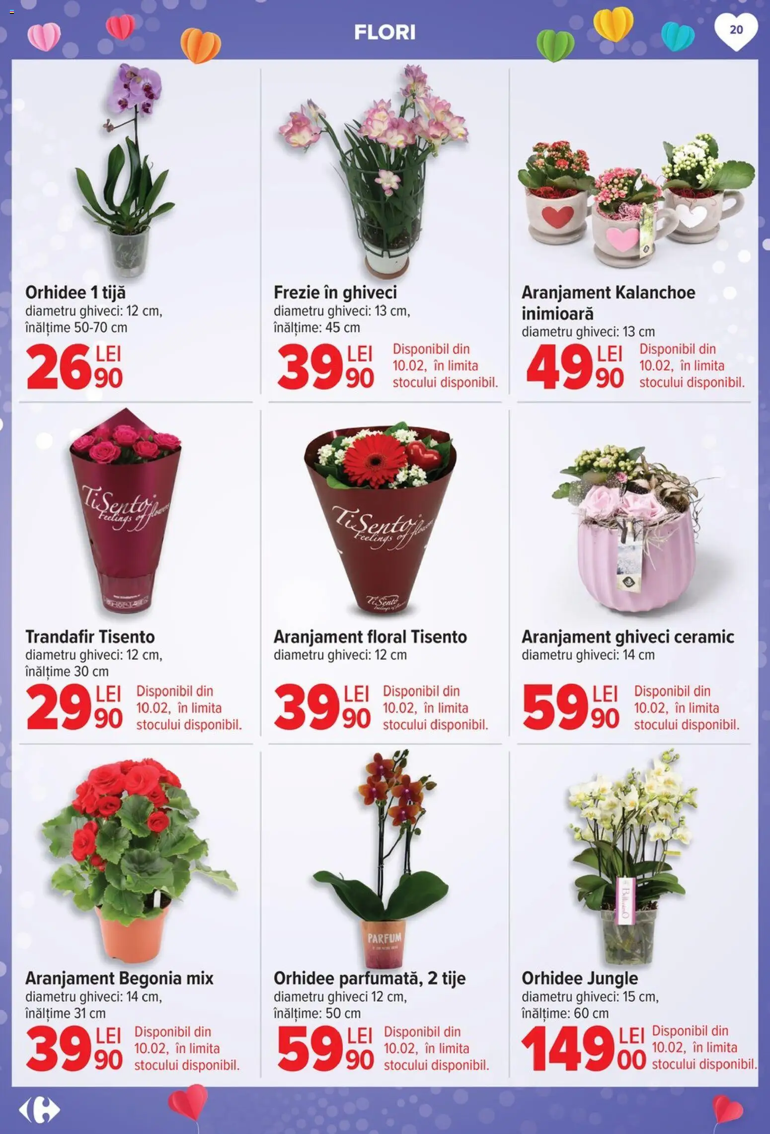 Catalog Carrefour 4 - 16 Februarie 2026 | Pagina 19